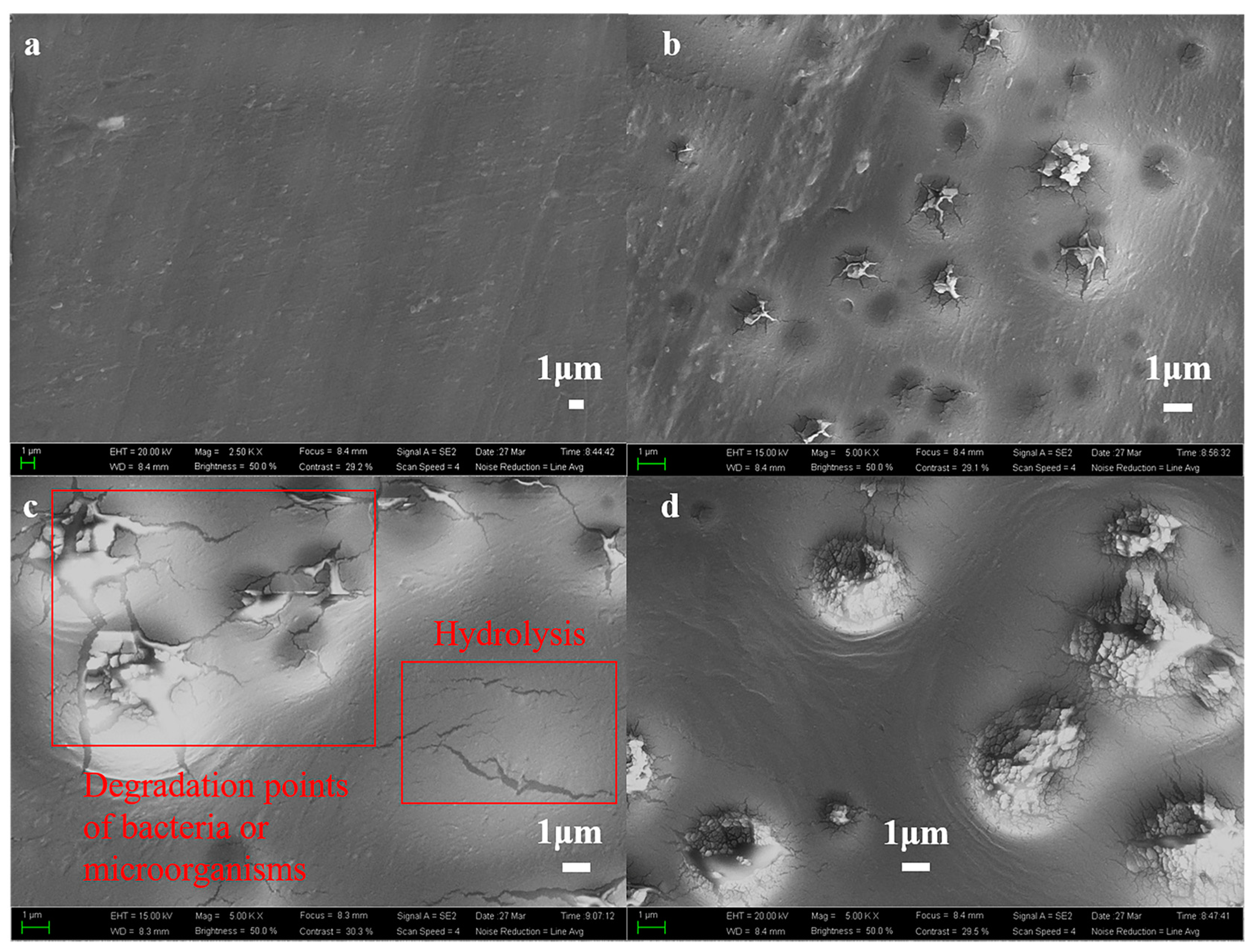 Polymers 15 04372 g004