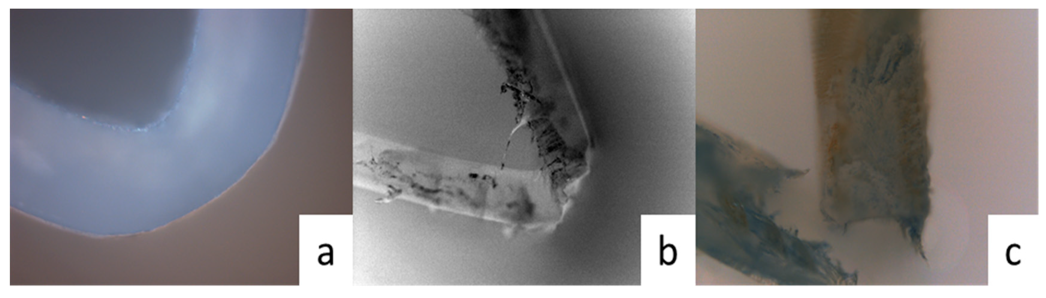Polymers 15 04372 g006