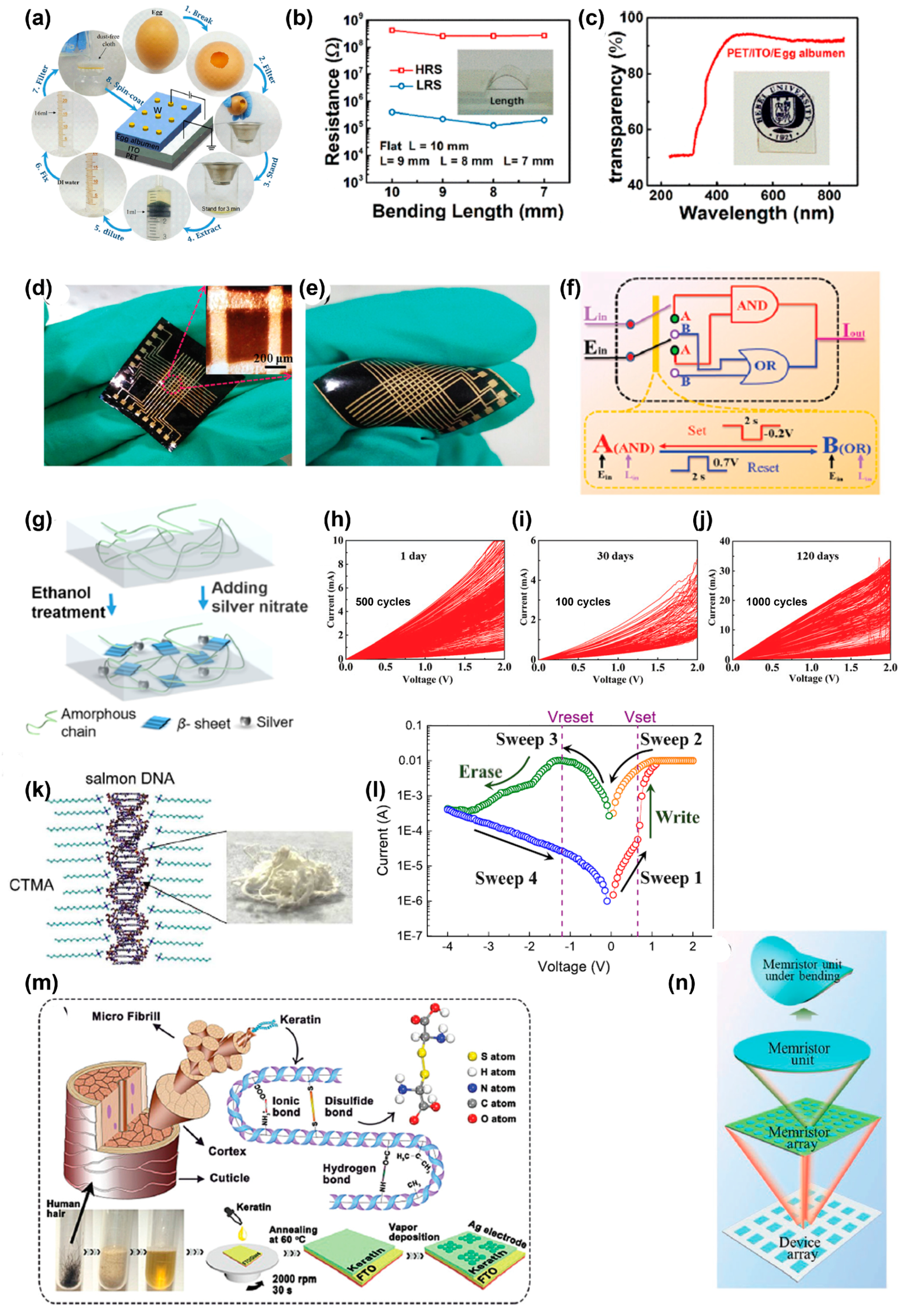 Polymers 15 04374 g010