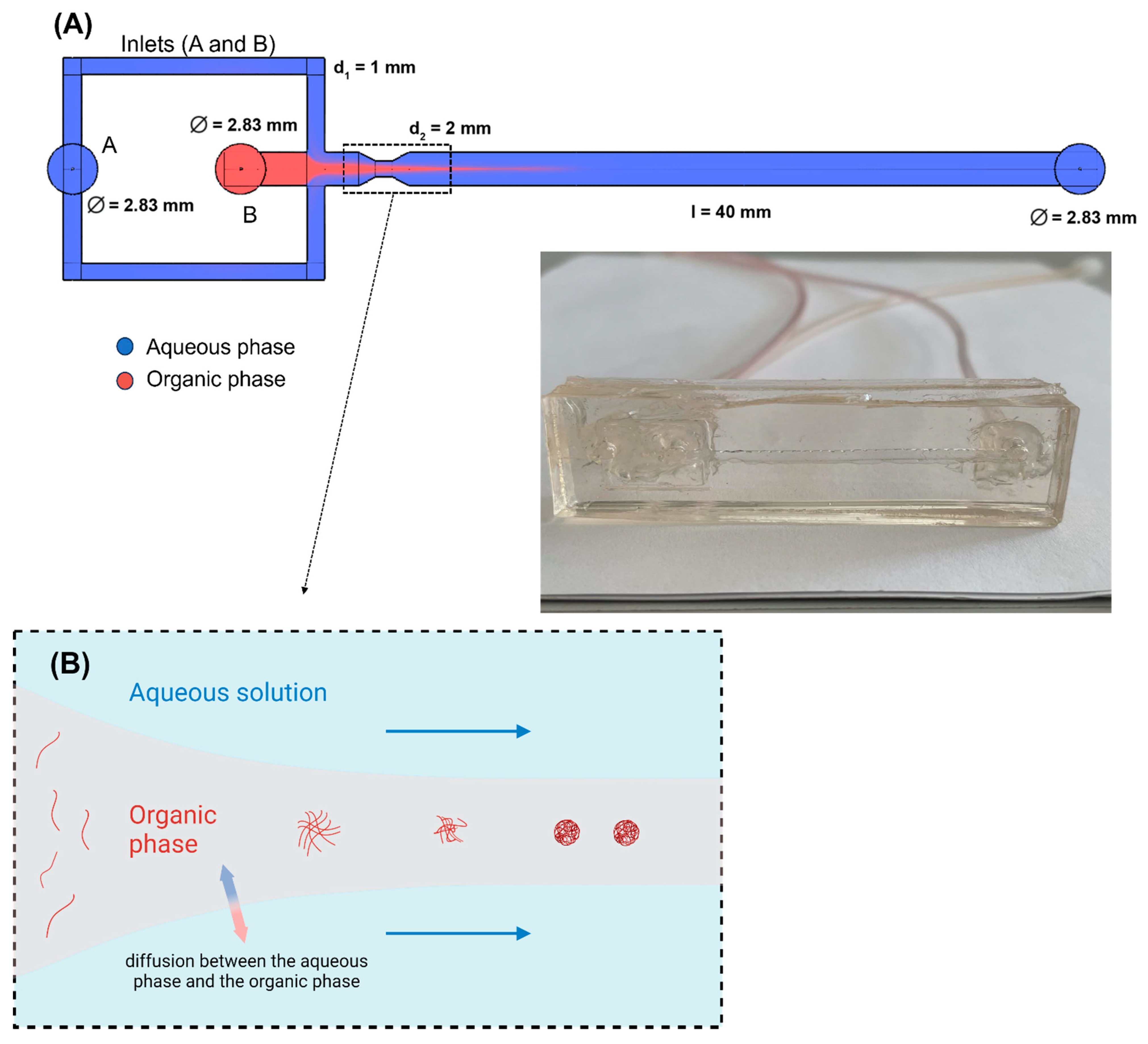 Polymers 15 04375 g001 Polymers 15 04375 g001