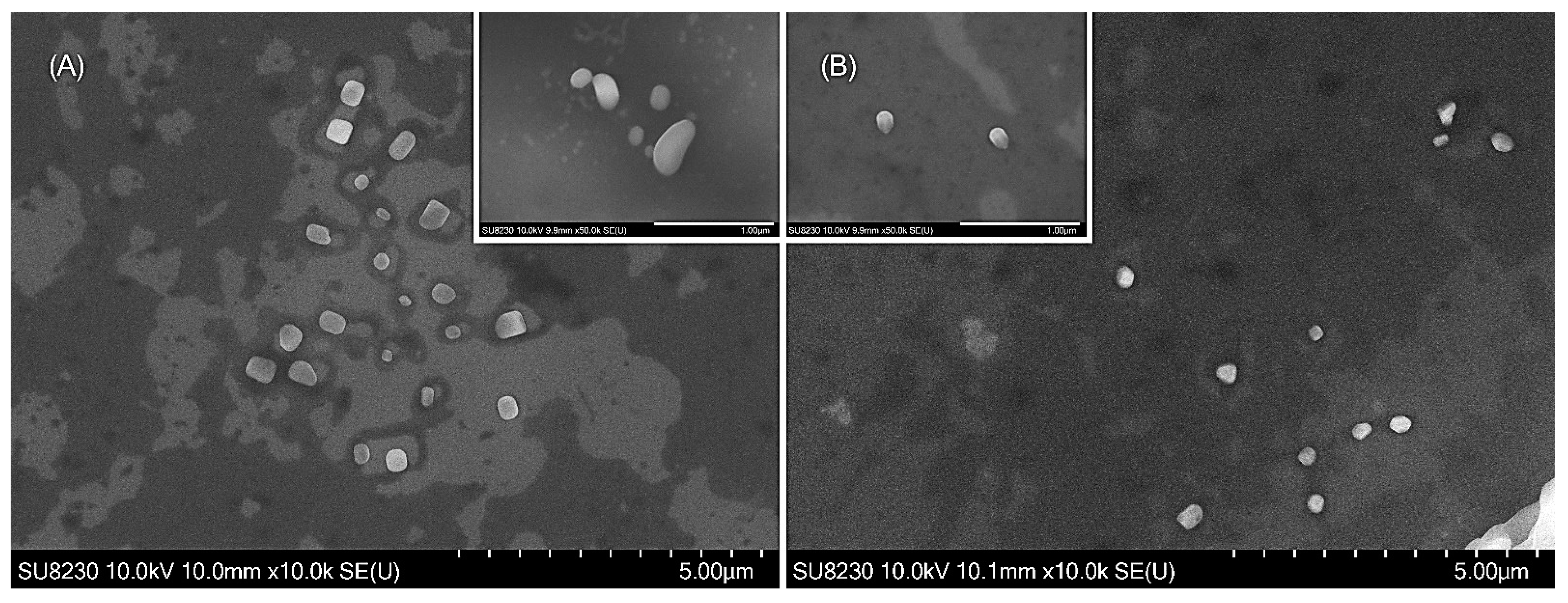 Polymers 15 04375 g003 Polymers 15 04375 g003