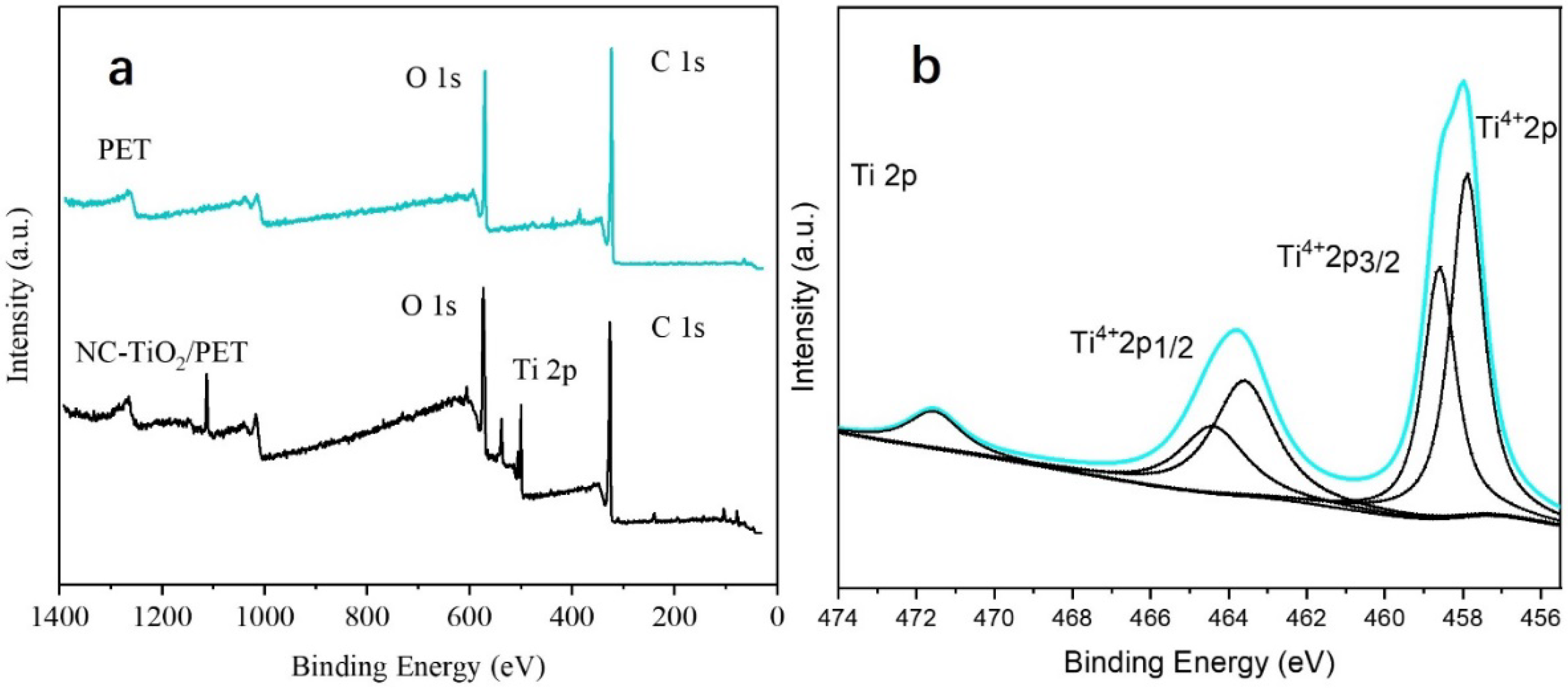 Polymers 15 04376 g003