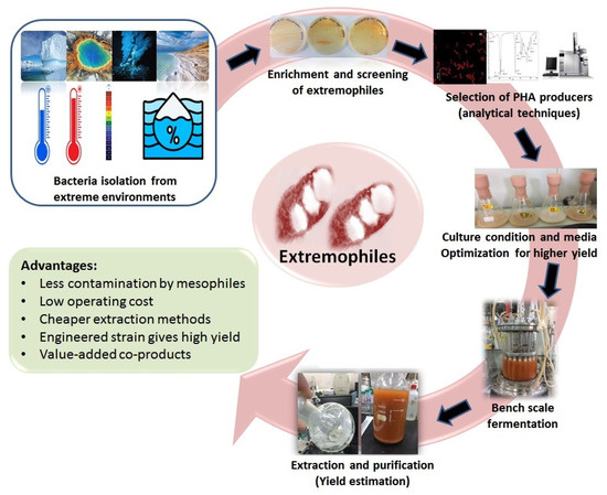 Recent Challenges and Trends of Polyhydroxyalkanoate