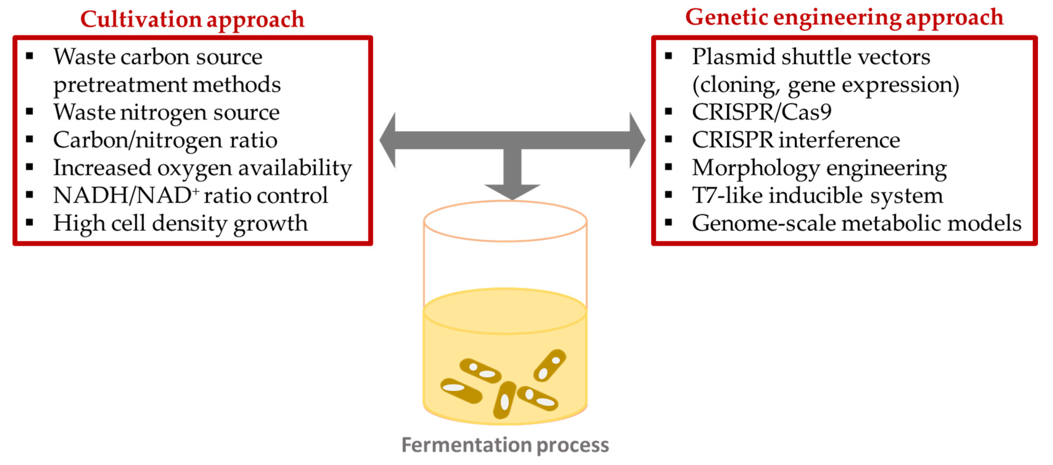 Polymers 15 04385 g003