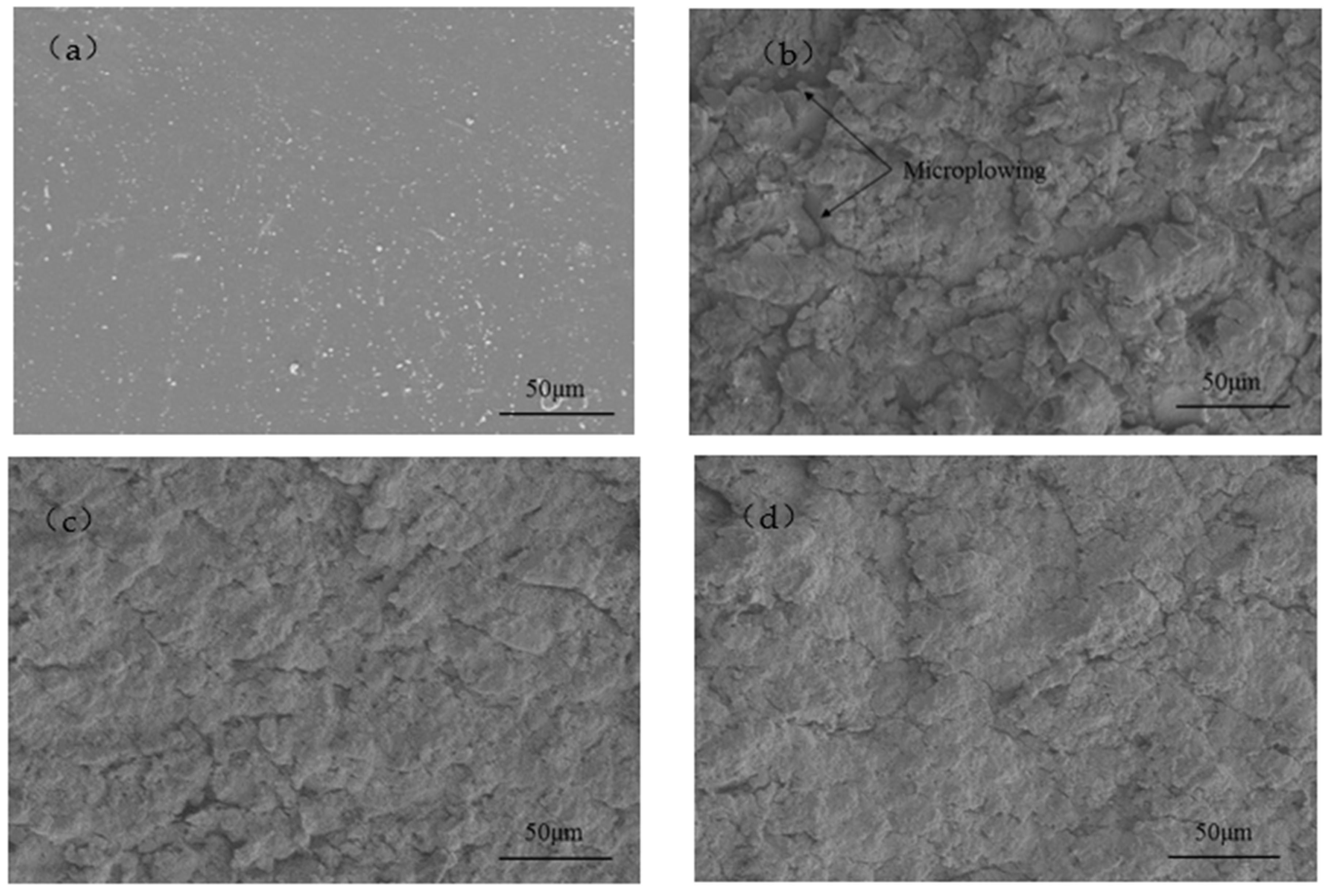 Polymers 15 04386 g016a