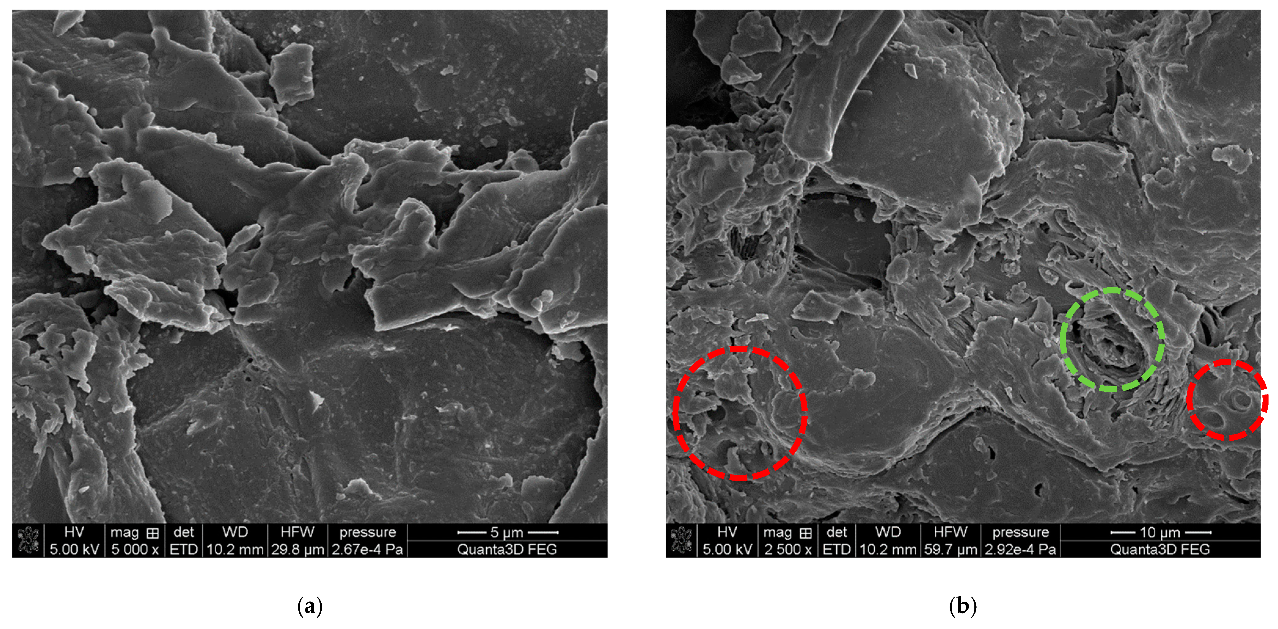 Polymers 15 04389 g003a