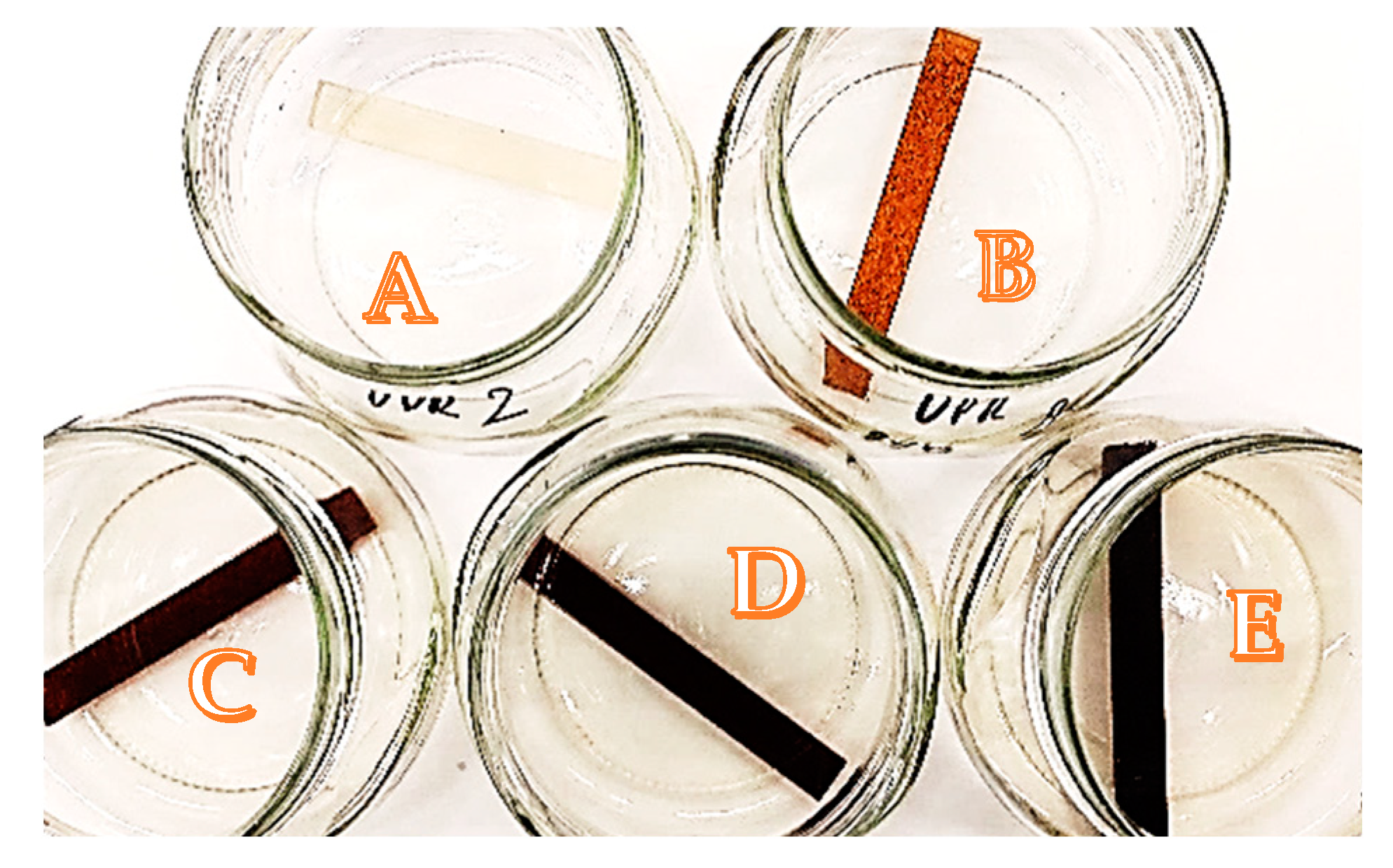 Polymers 15 04389 g007