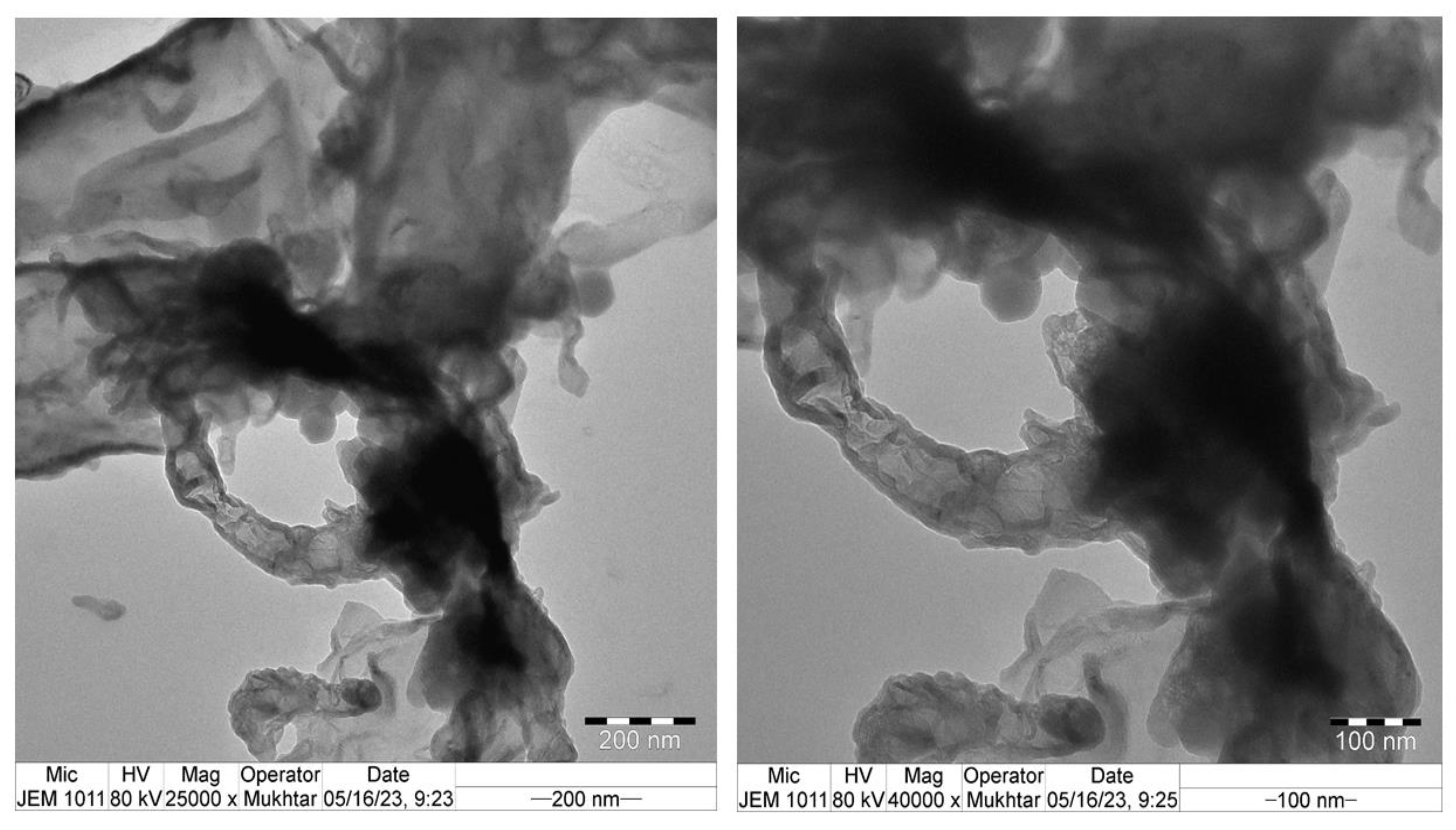 Polymers 15 04390 g008