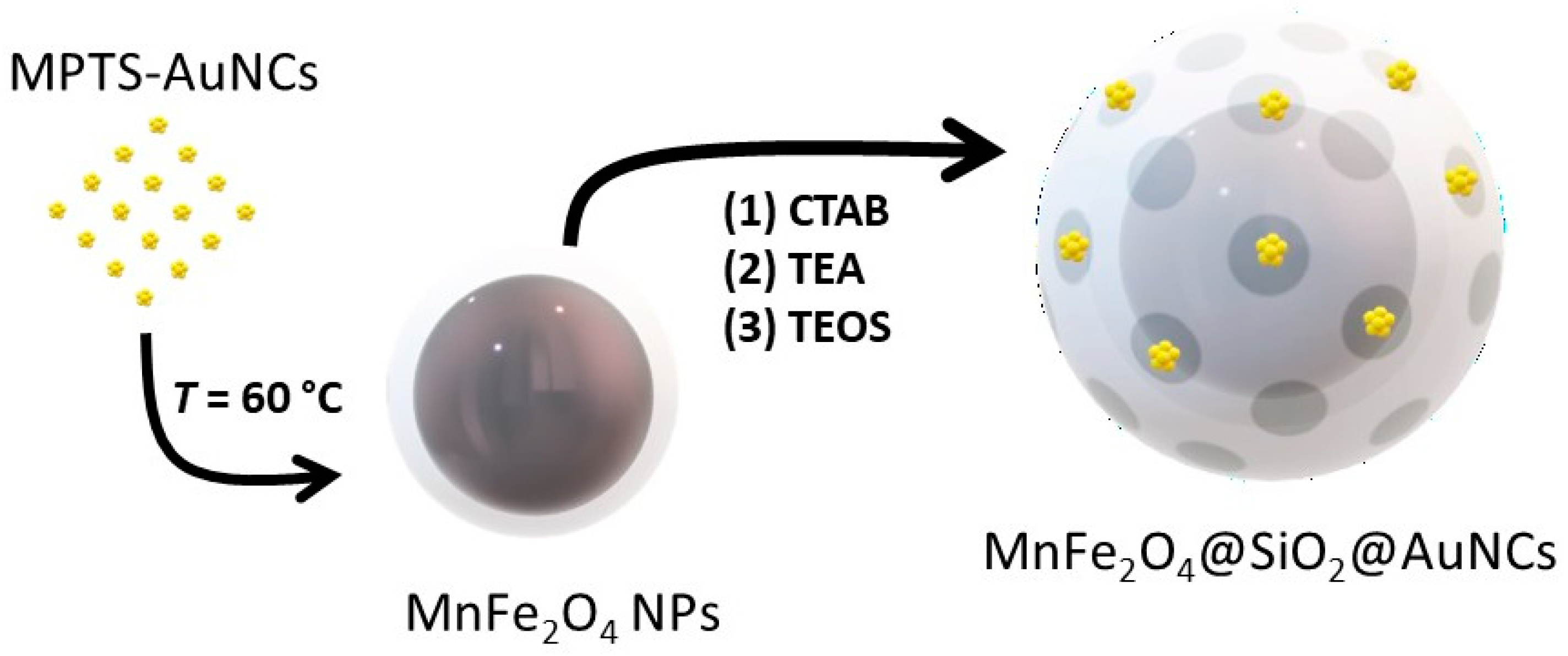 Polymers 15 04392 g003