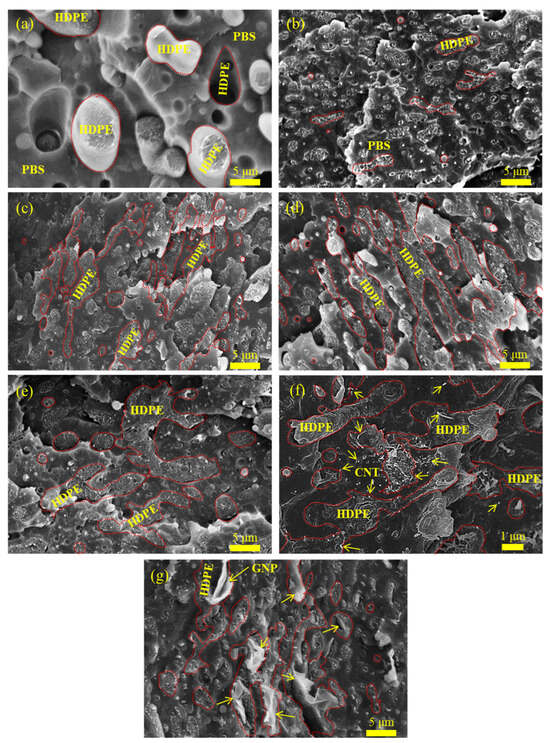 Modifications of Phase Morphology, Physical Properties, and