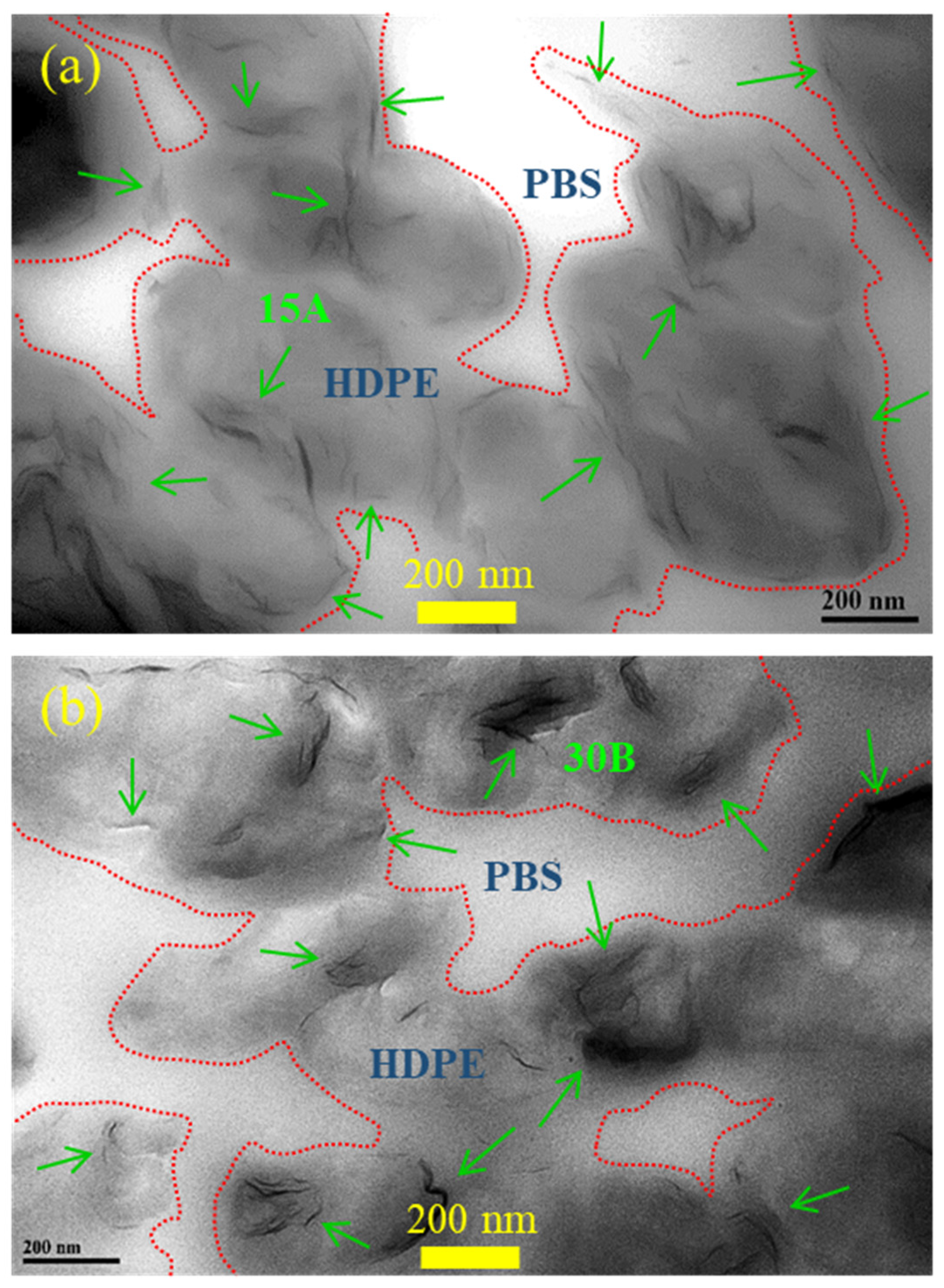 Polymers 15 04393 g002