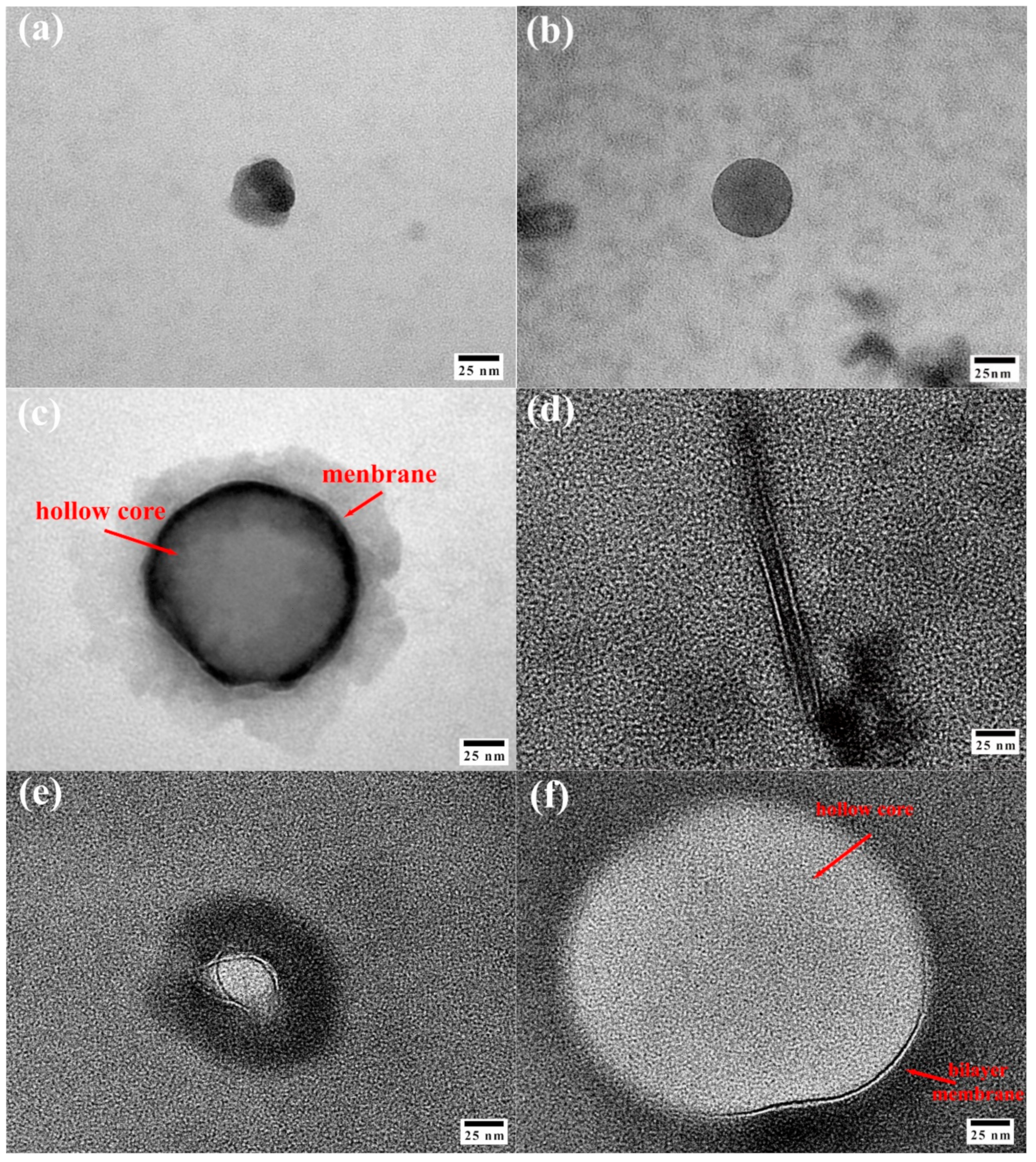 Polymers 15 04396 g008