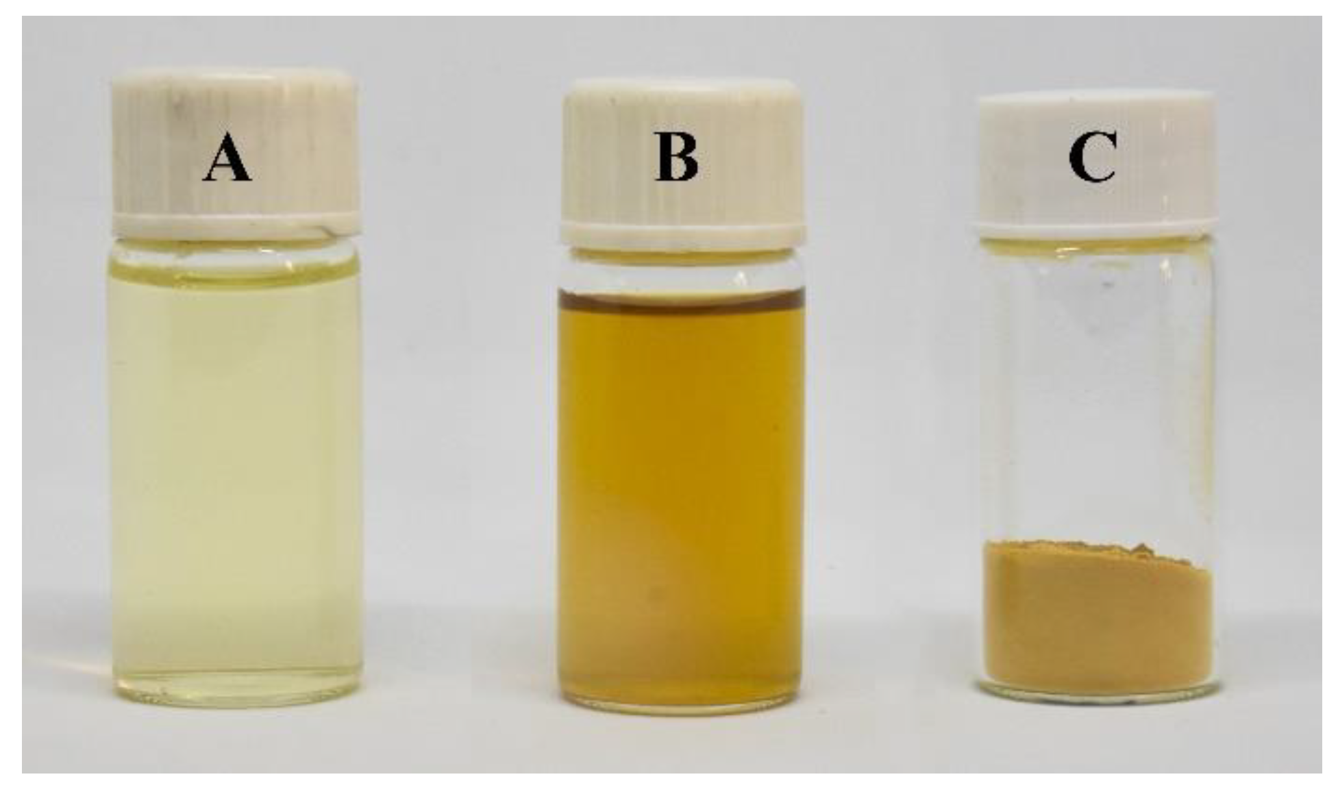 Polymers 15 04397 g001
