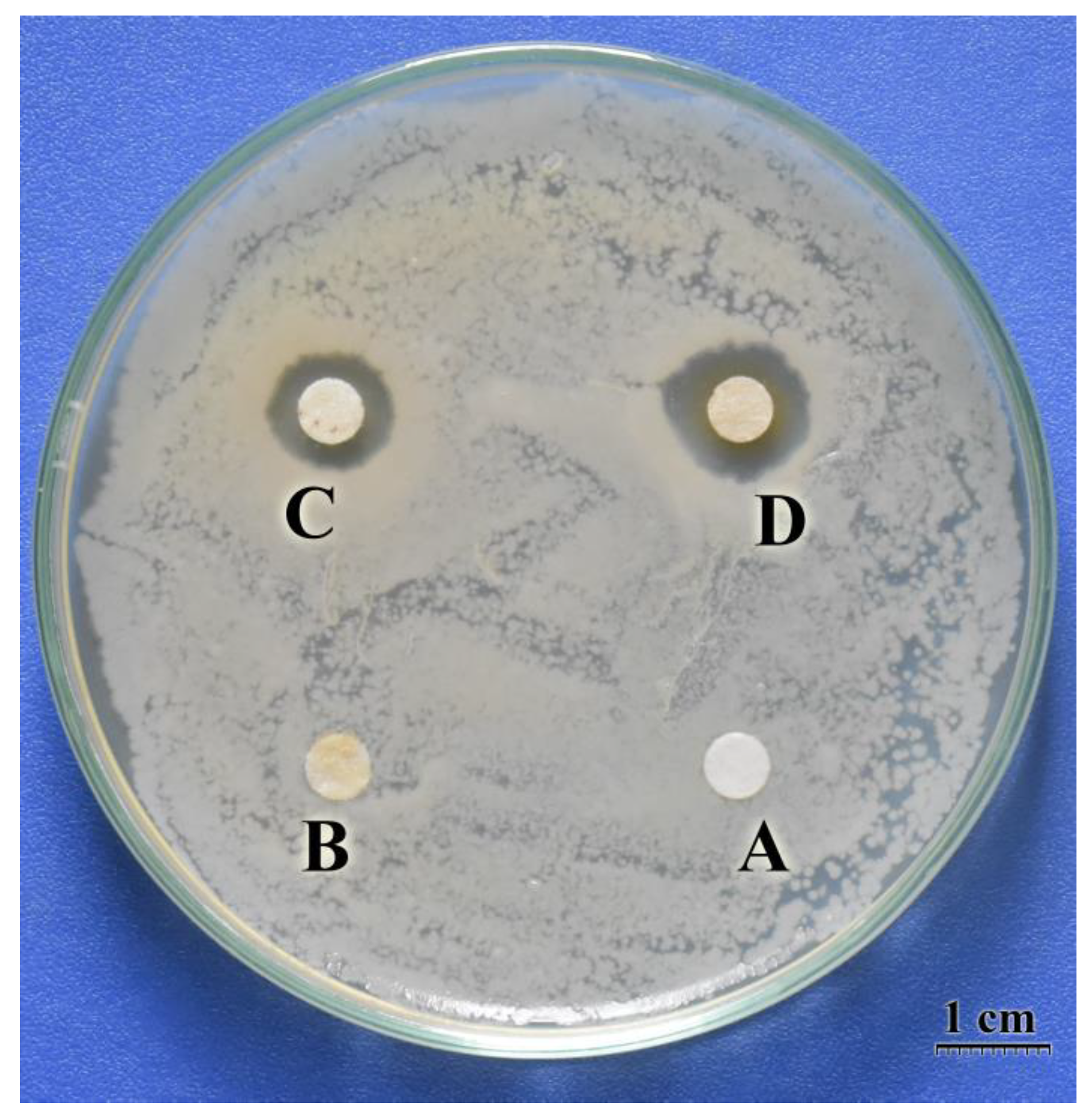 Polymers 15 04397 g006
