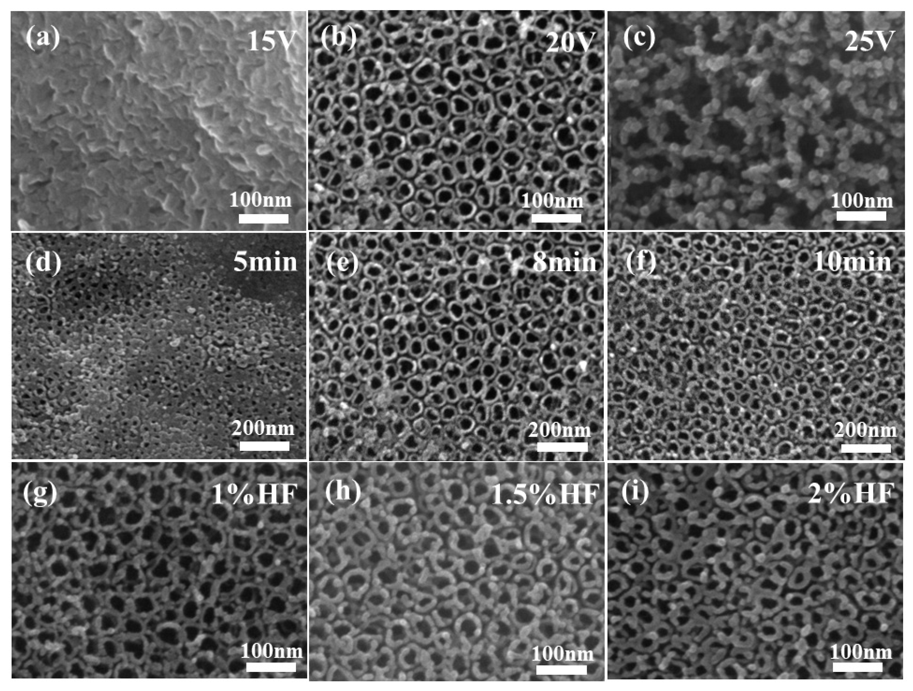 Polymers 15 04400 g002 Polymers 15 04400 g002