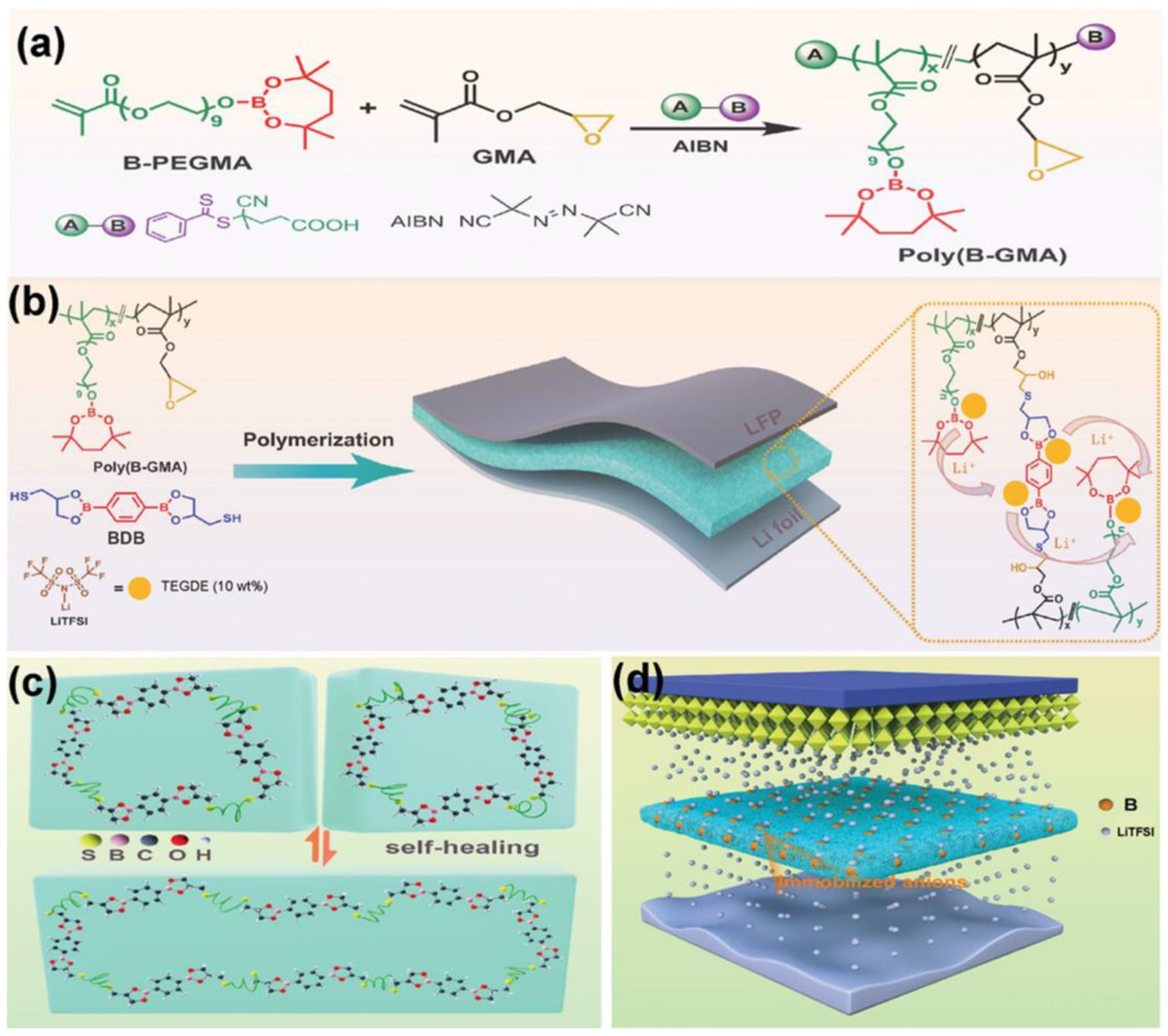 Polymers 15 04408 g007