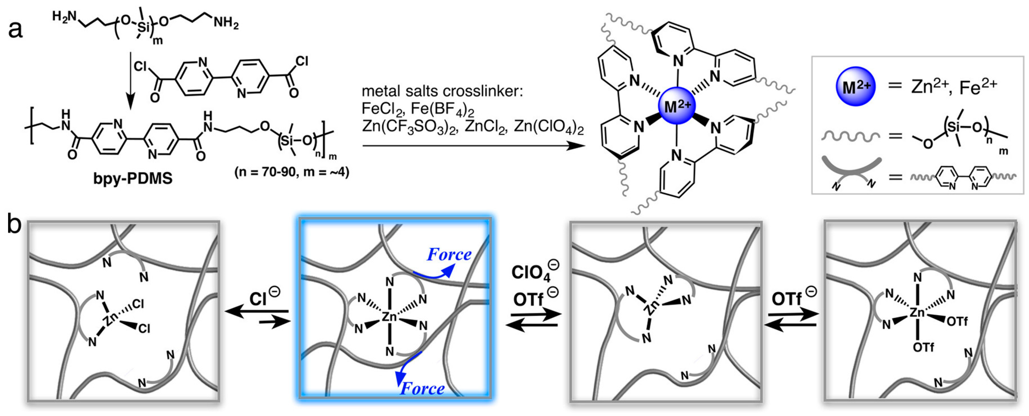 Polymers 15 04408 g009