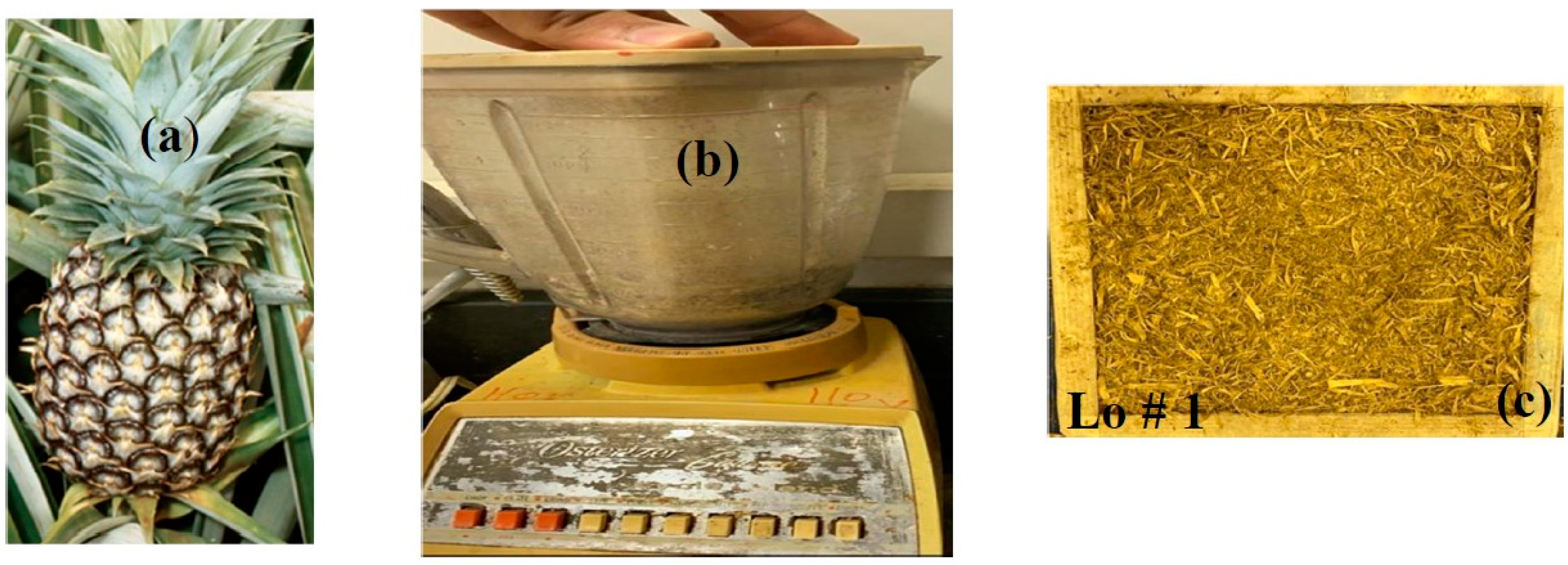 Polymers 15 04422 g001