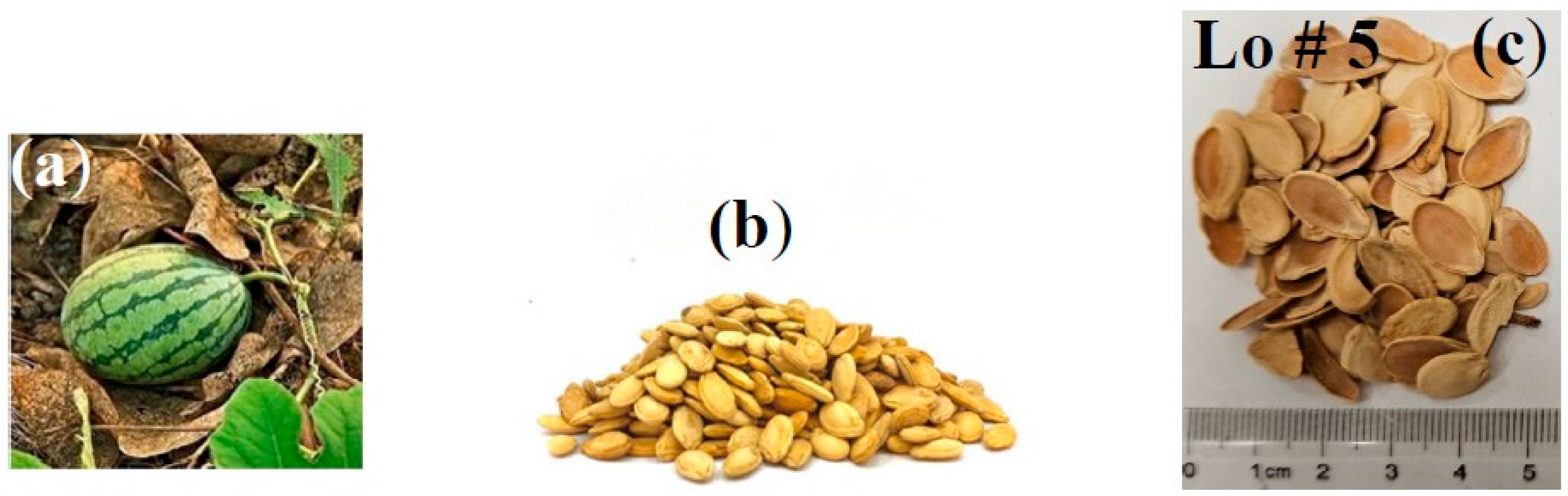 Polymers 15 04422 g003