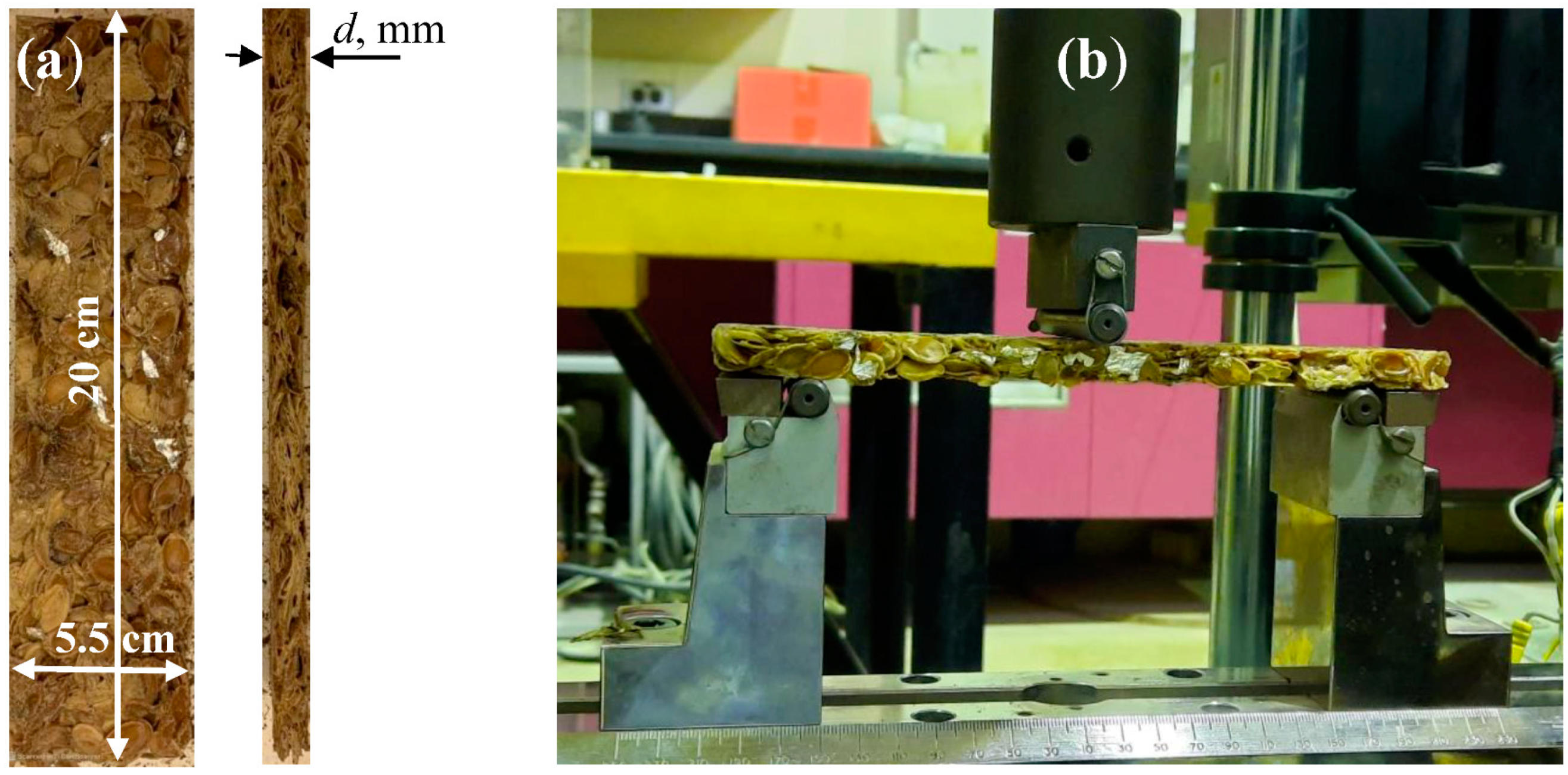 Polymers 15 04422 g006