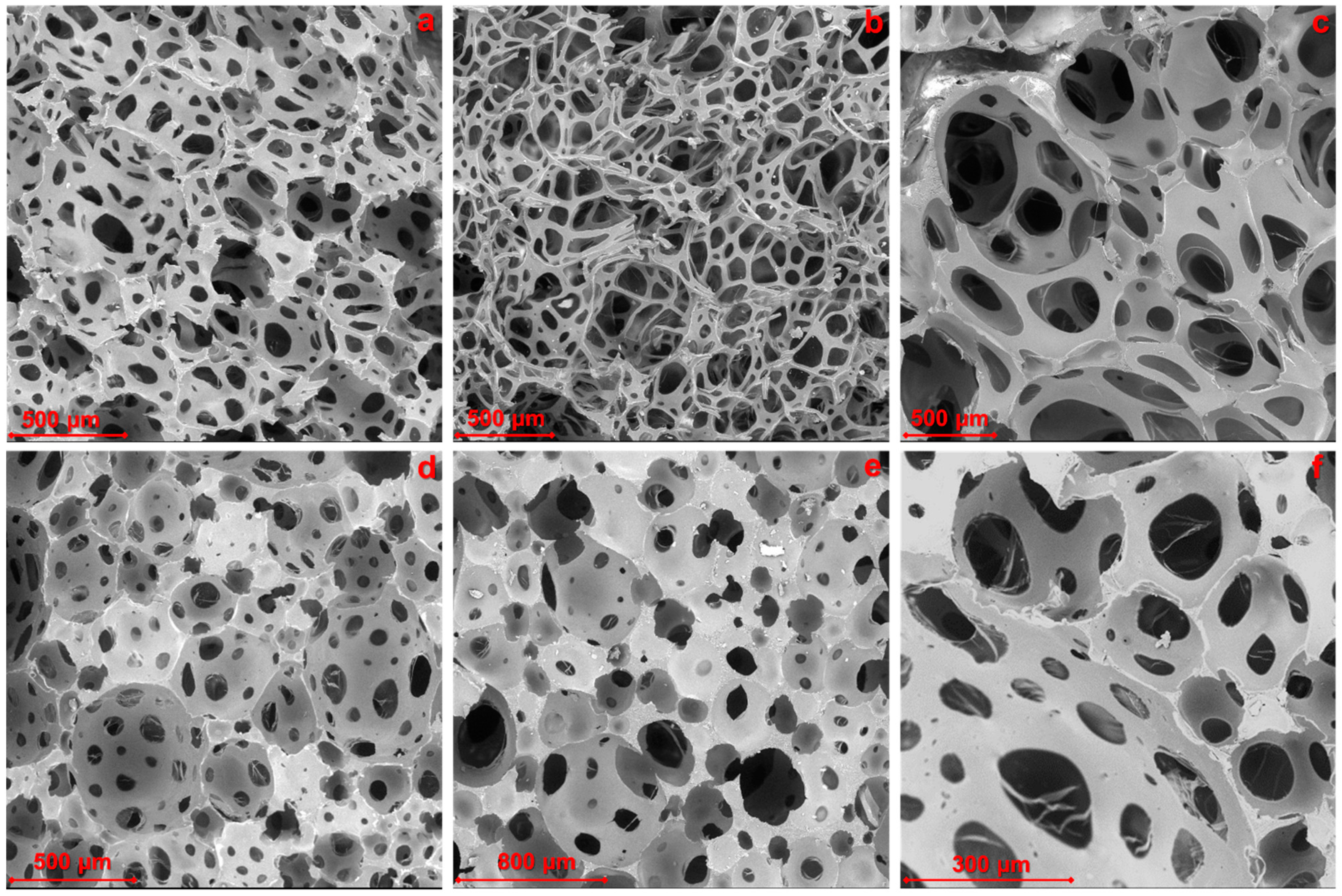 Polymers 15 04423 g010