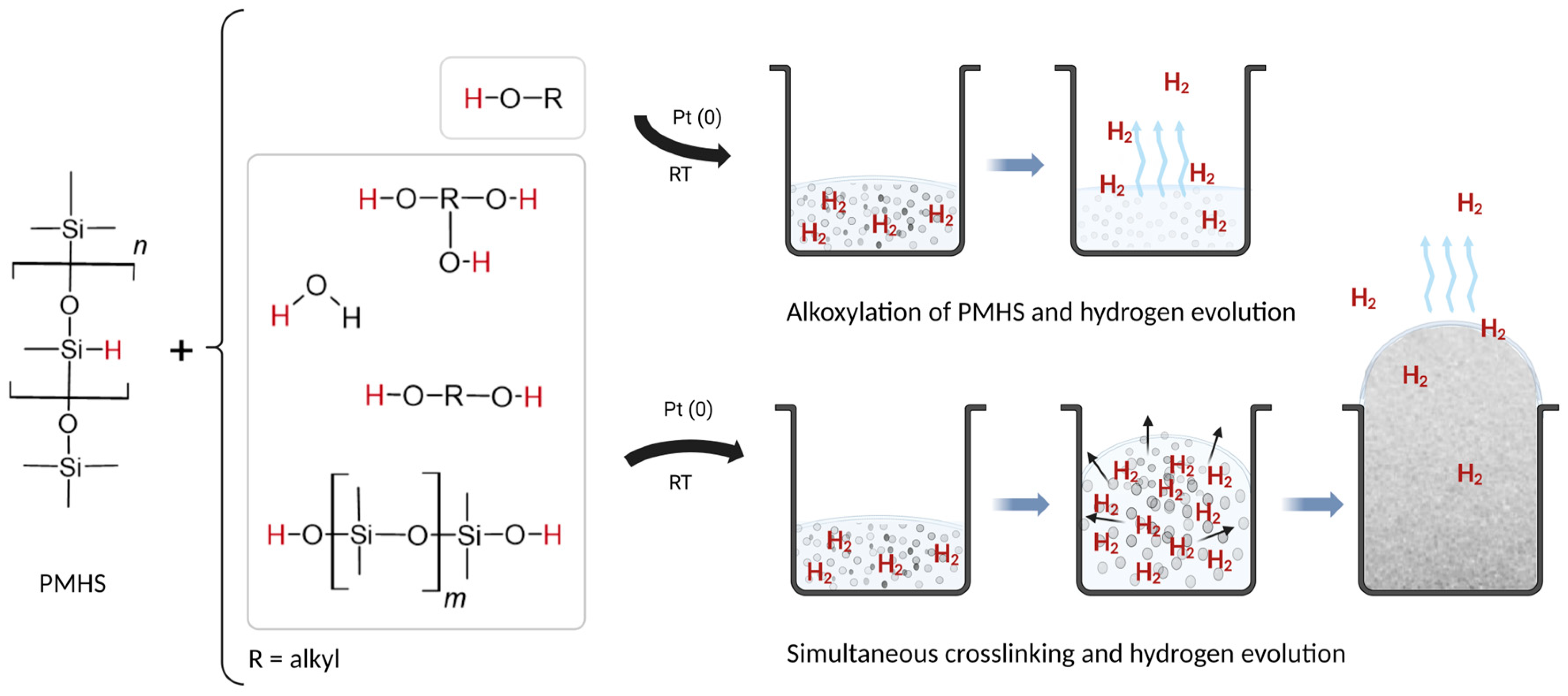 Polymers 15 04425 g001