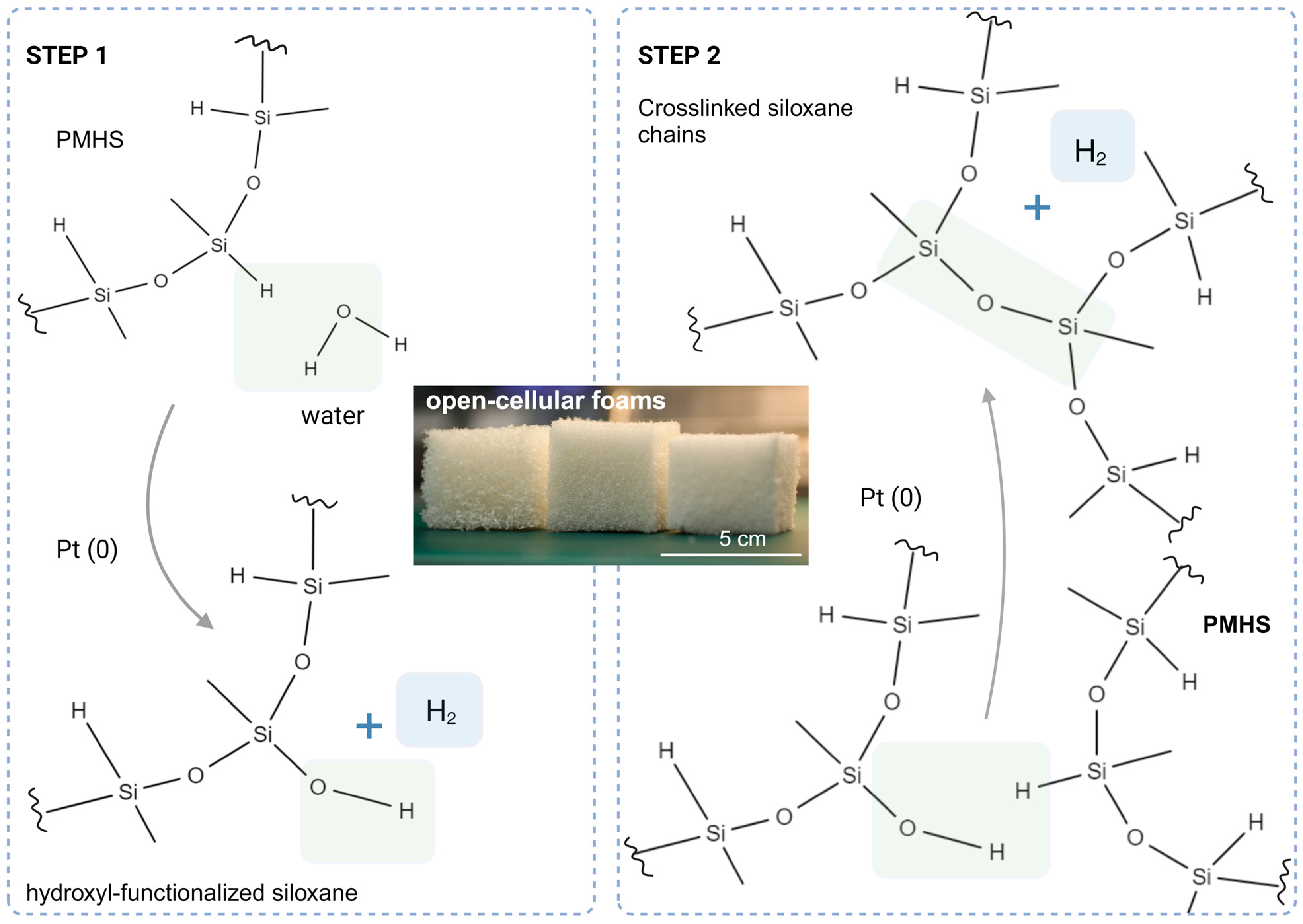Polymers 15 04425 g002