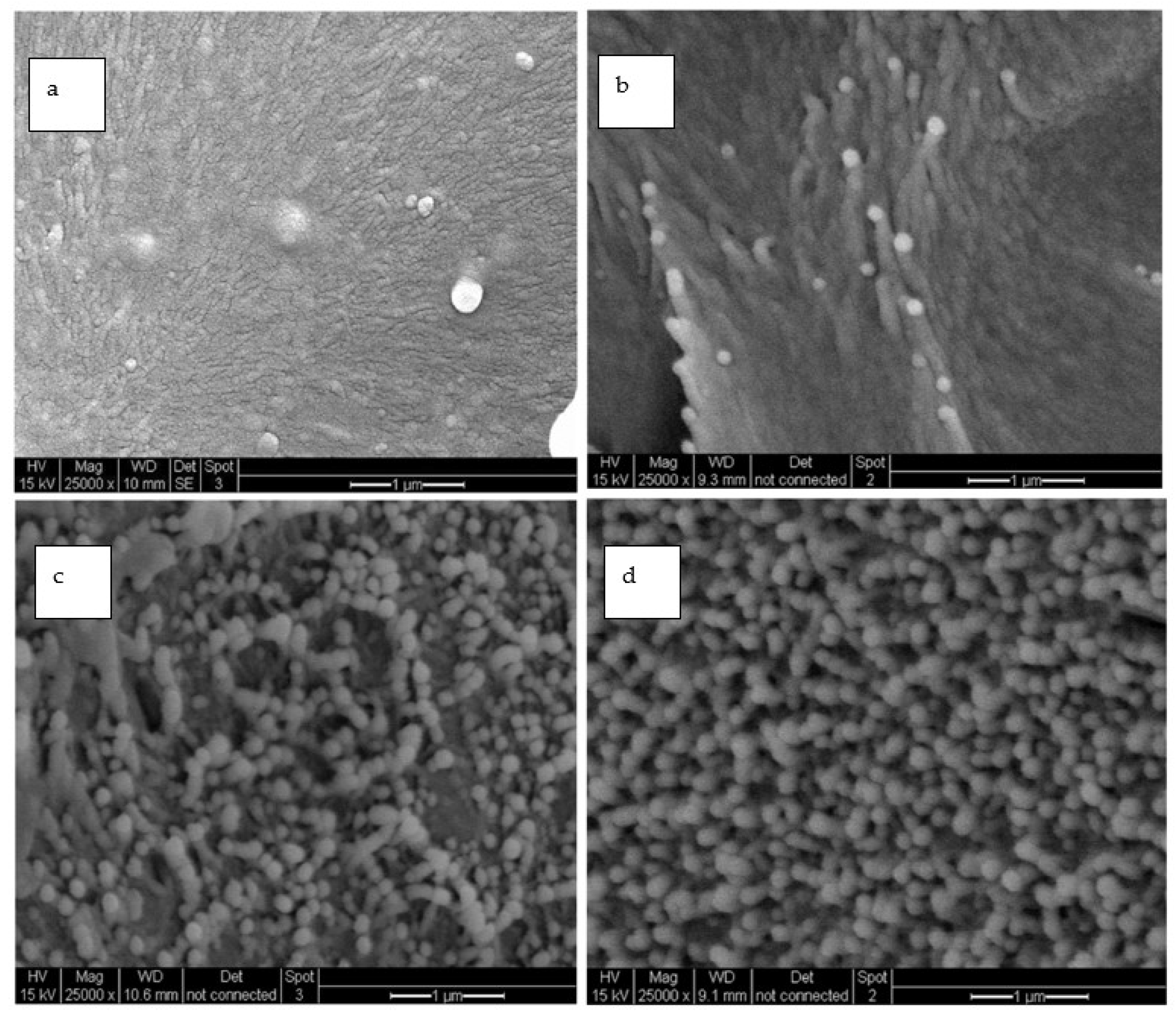 Polymers 15 04427 g014