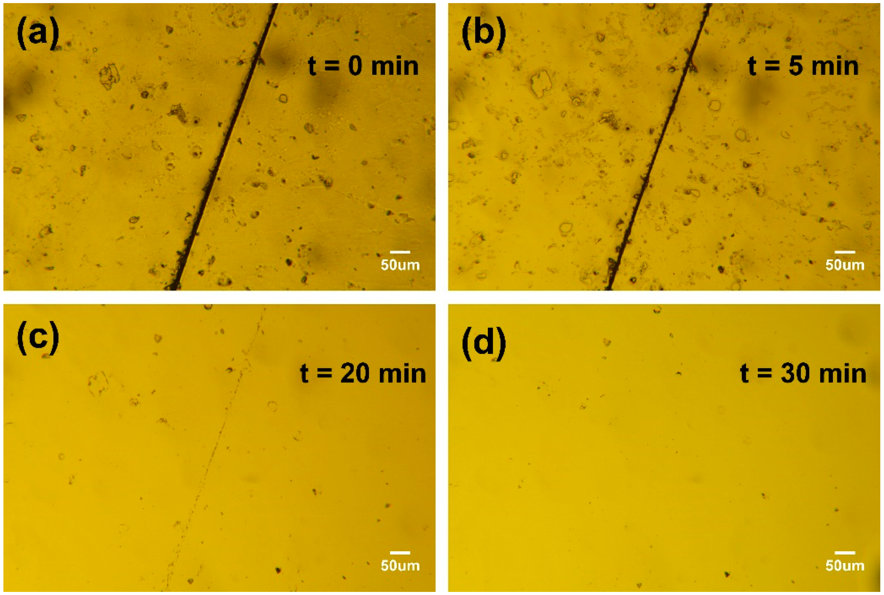 Polymers 15 04428 g003
