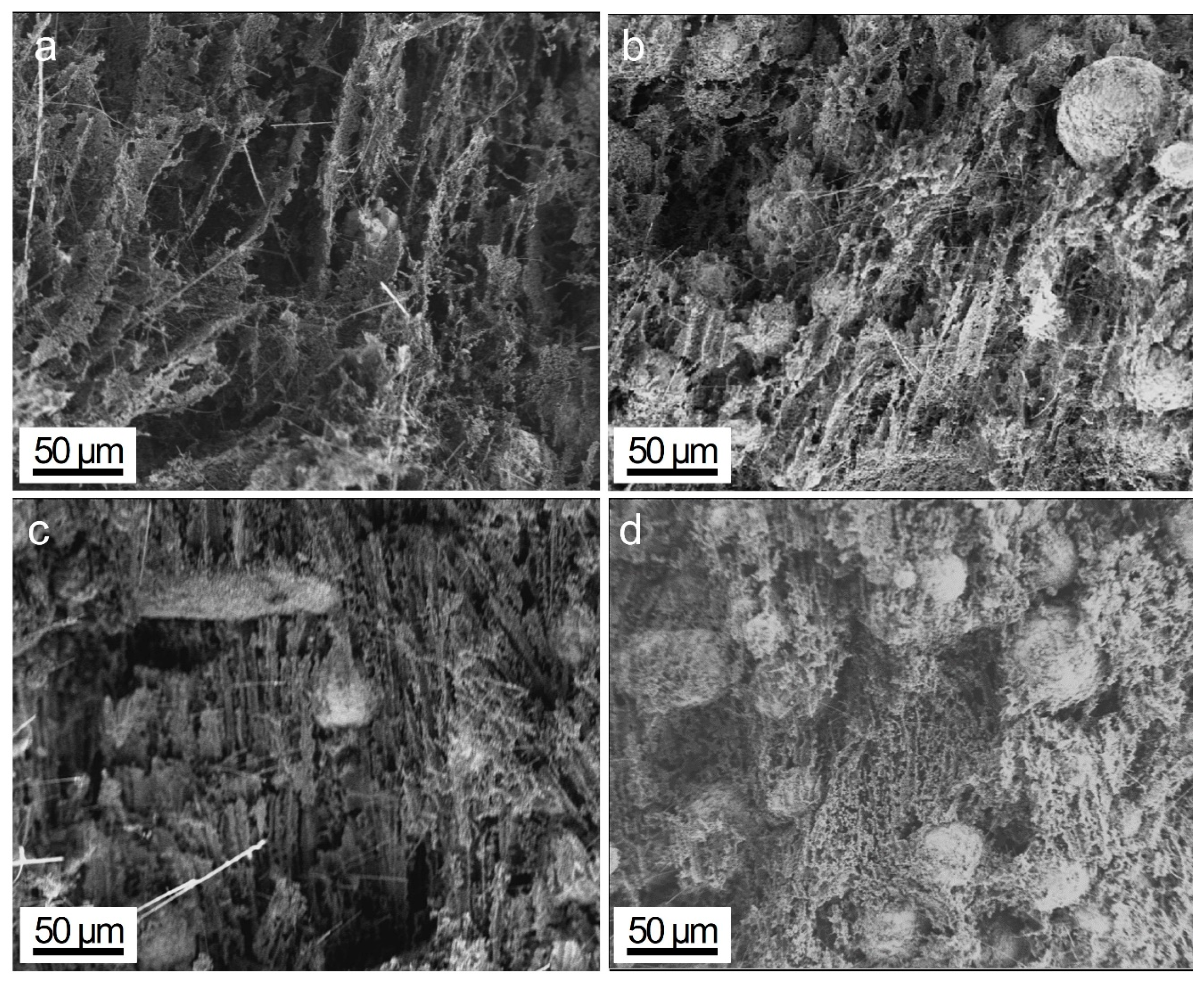 Polymers 15 04429 g004
