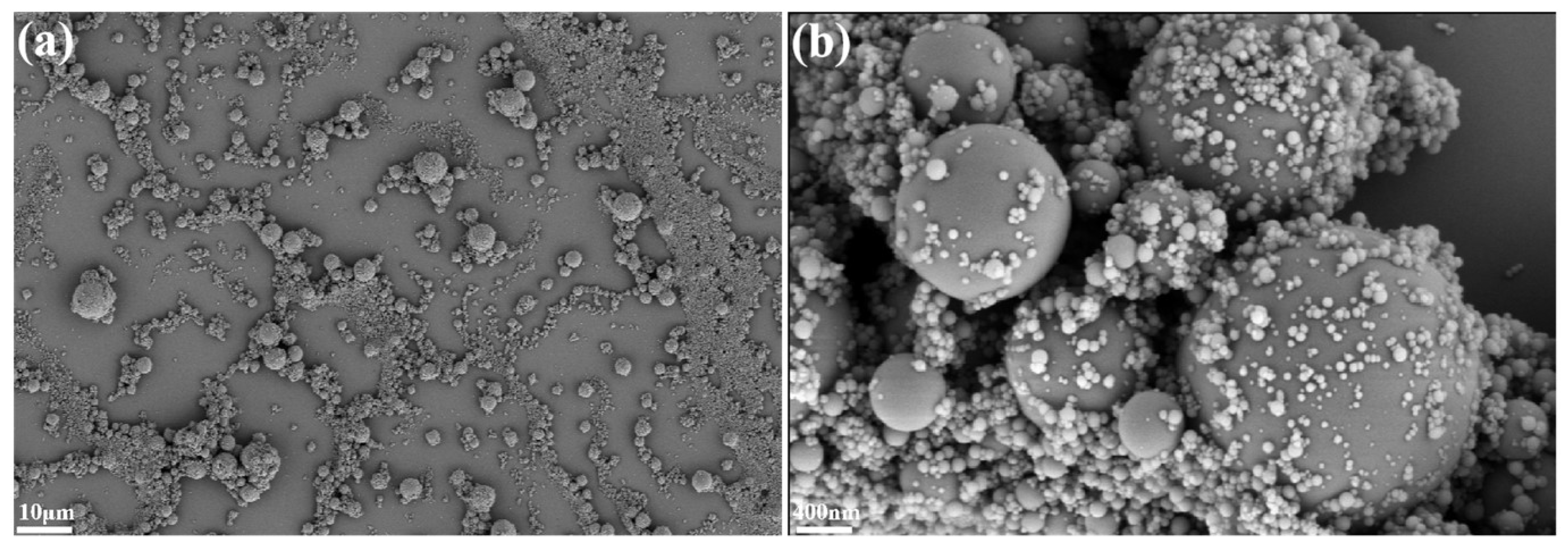 Polymers 15 04430 g009
