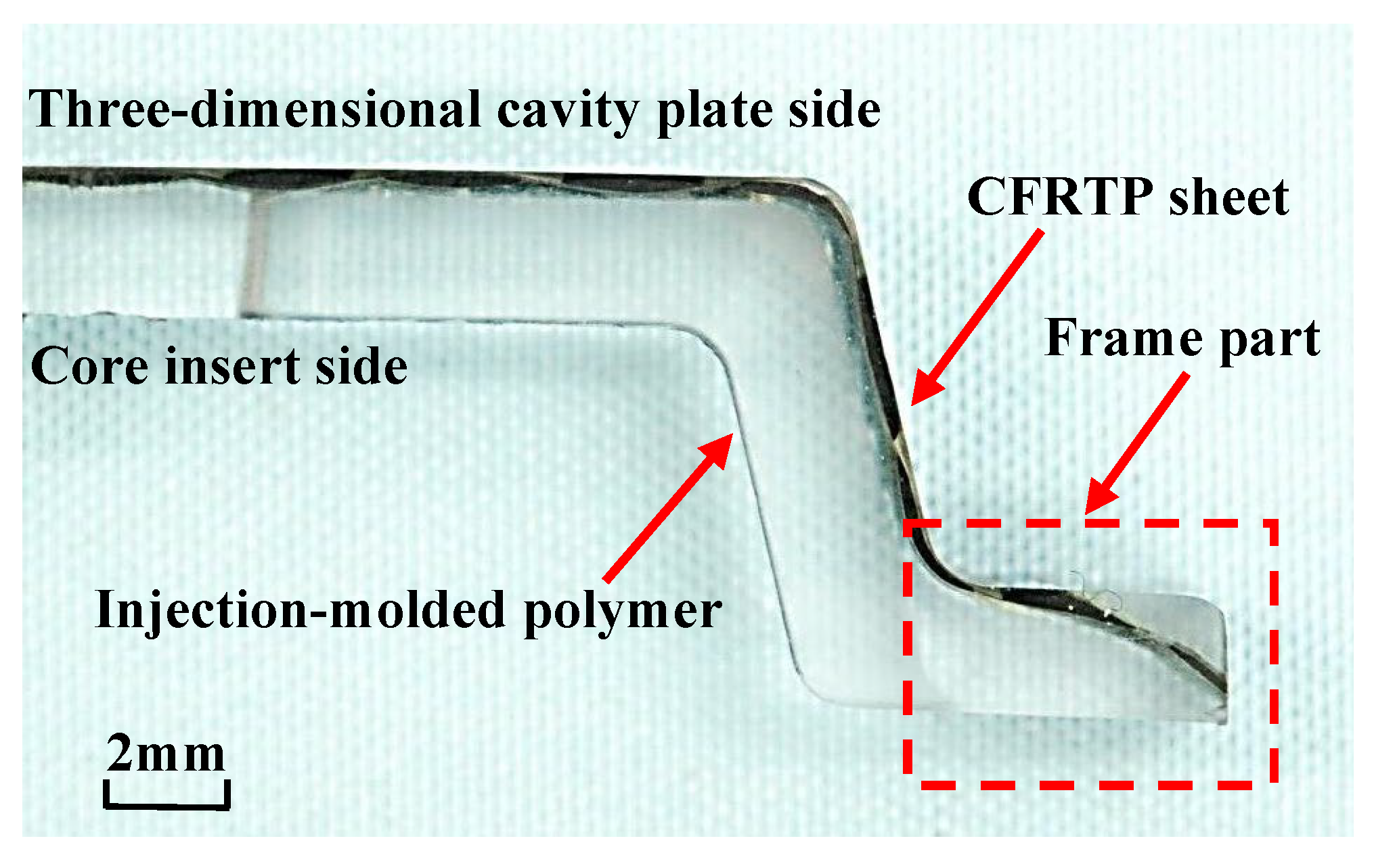 Polymers 15 04437 g018