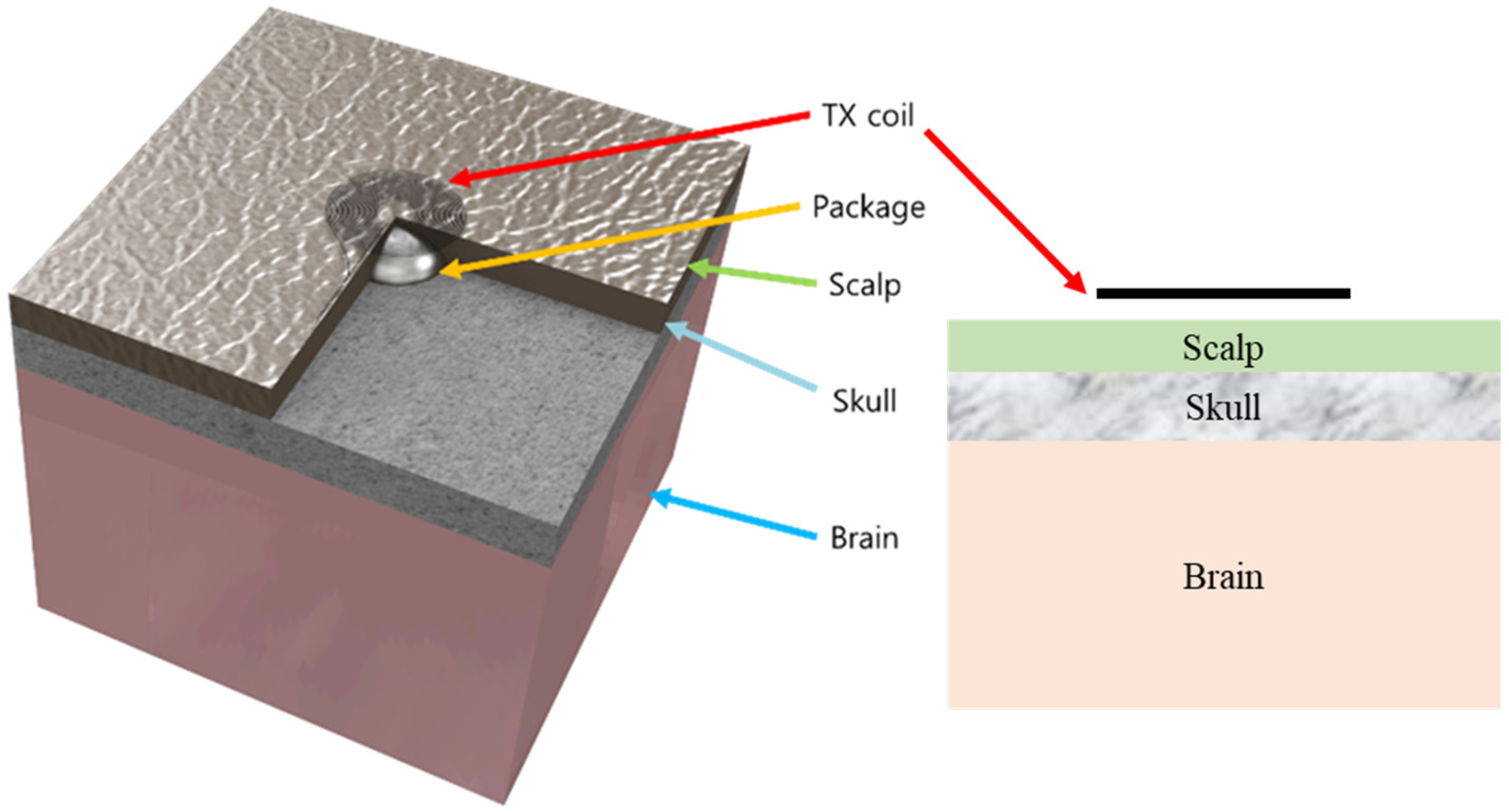 Polymers 15 04439 g008