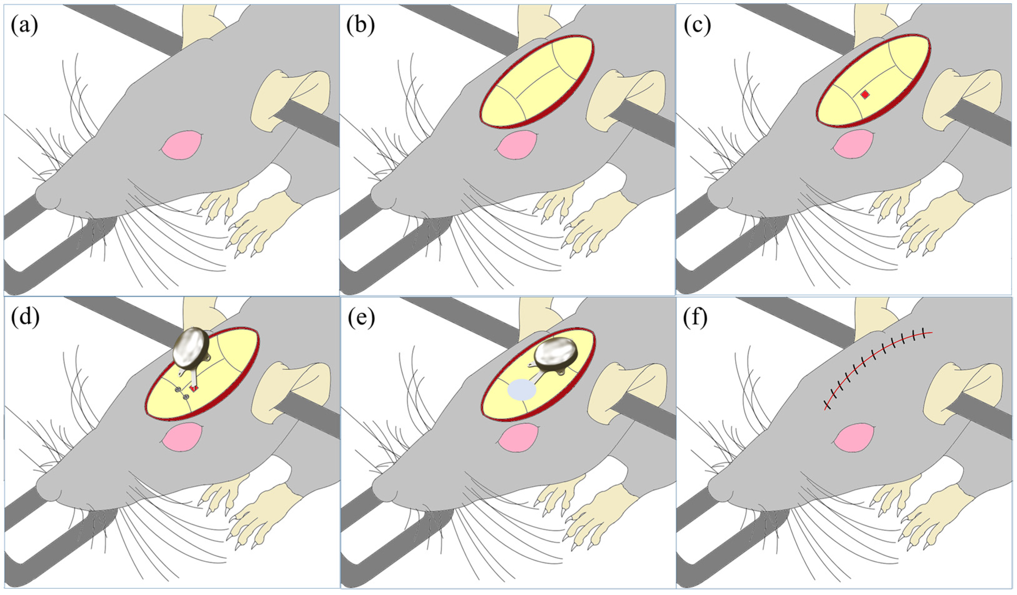Polymers 15 04439 g010