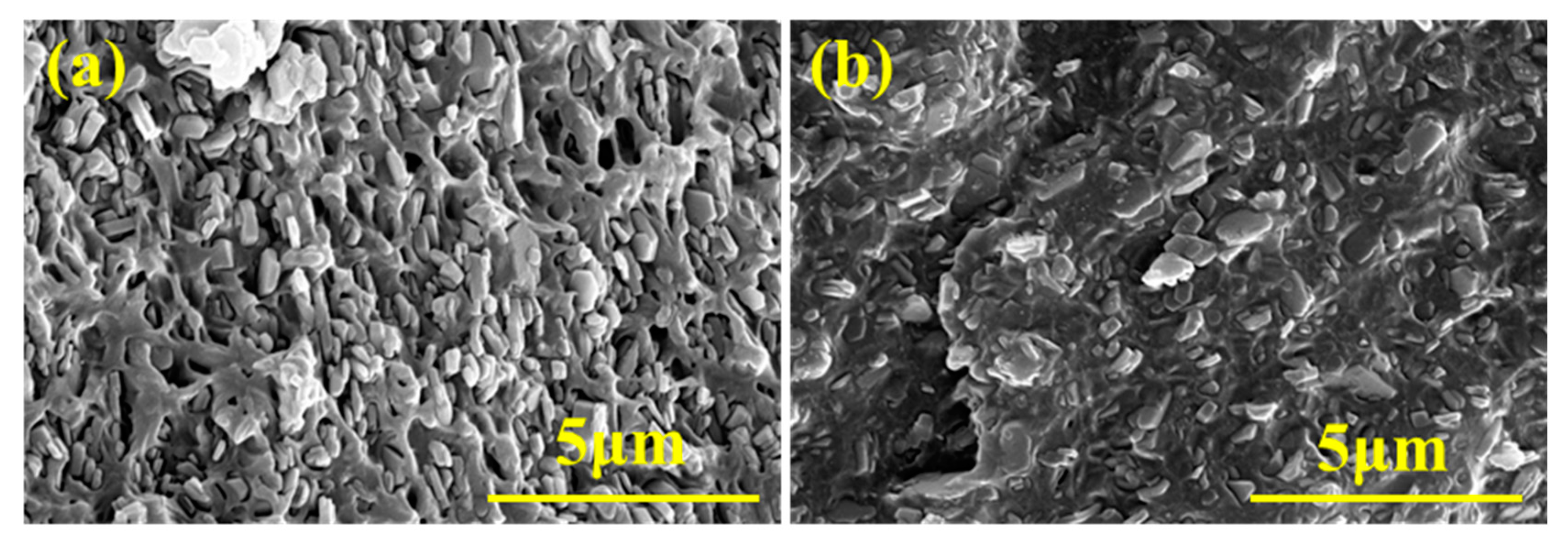Polymers 15 04440 g008