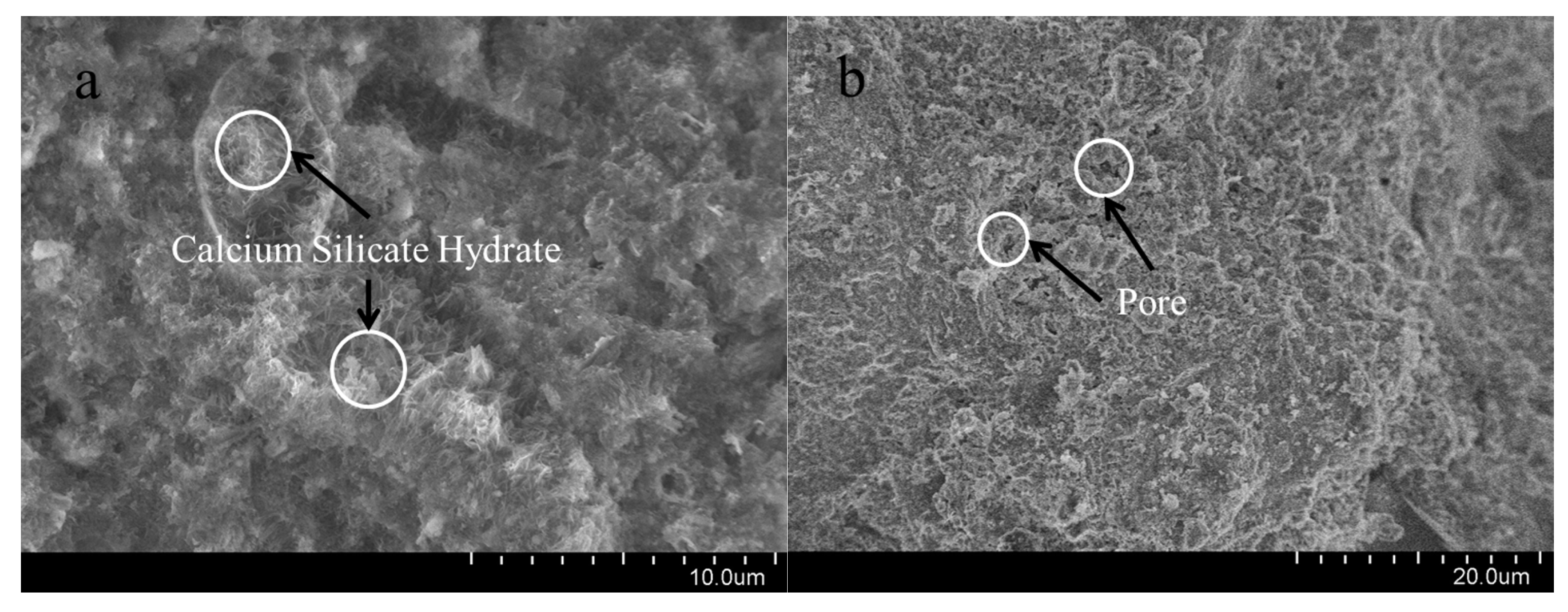 Polymers 15 04441 g012