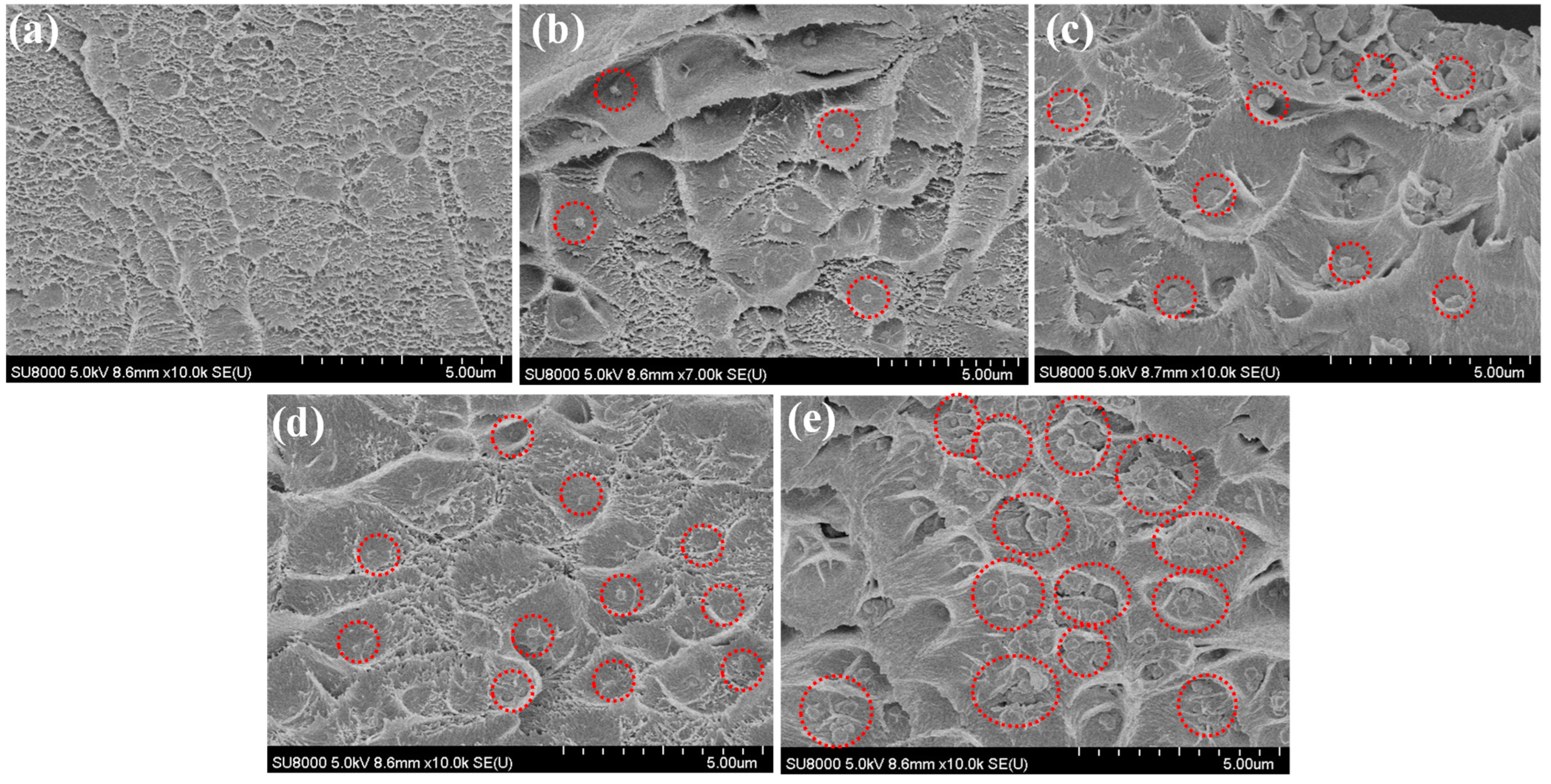 Polymers 15 04442 g005