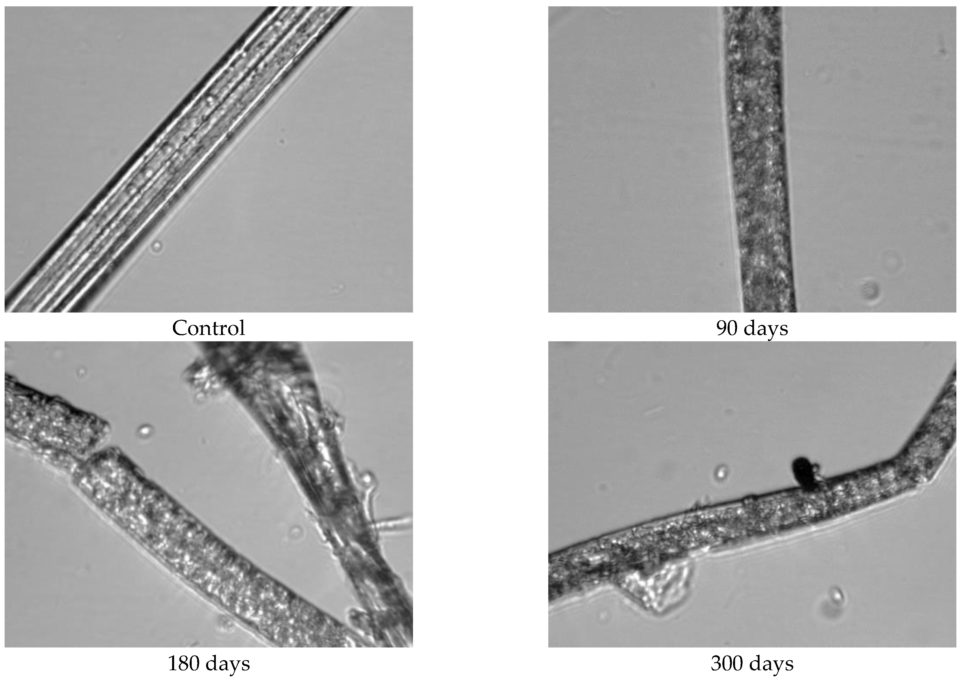 Polymers 15 04447 g009