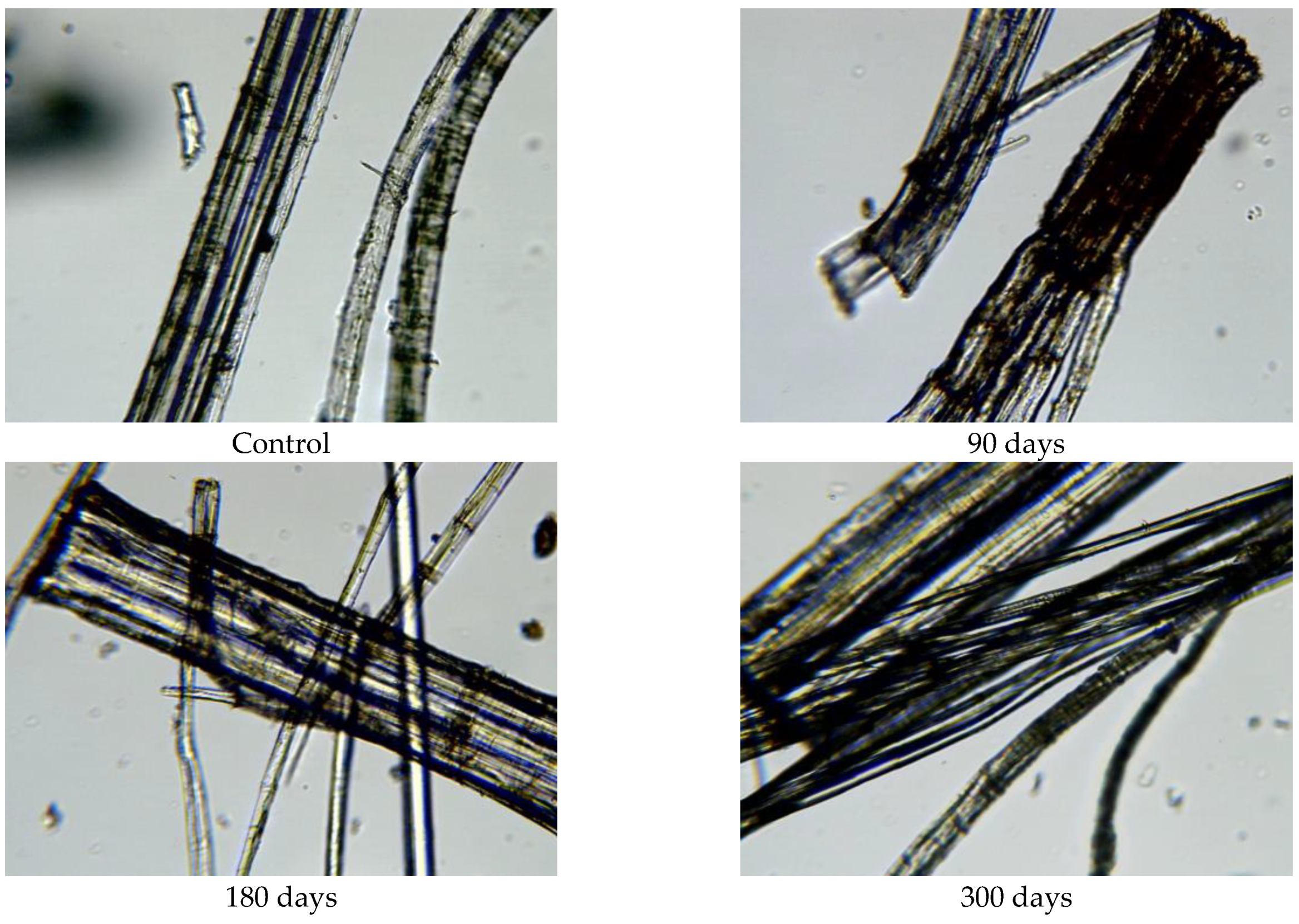 Polymers 15 04447 g011