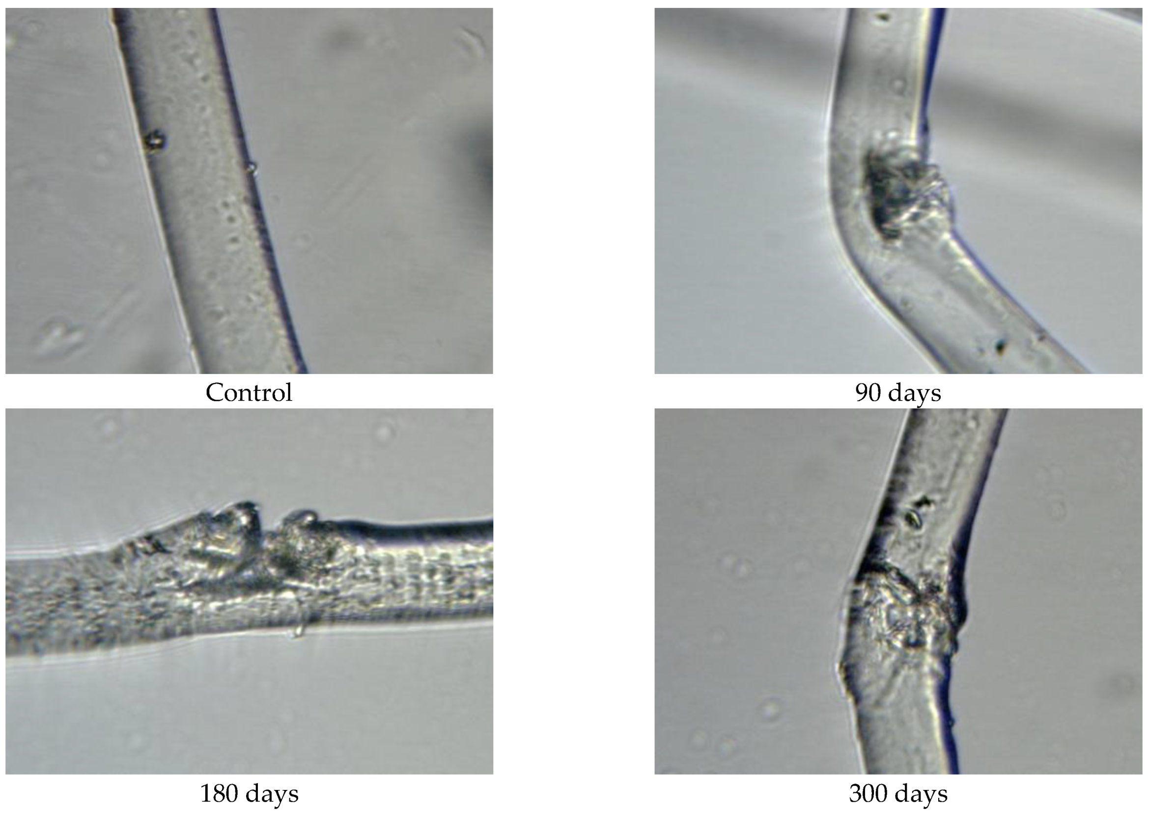 Polymers 15 04447 g013