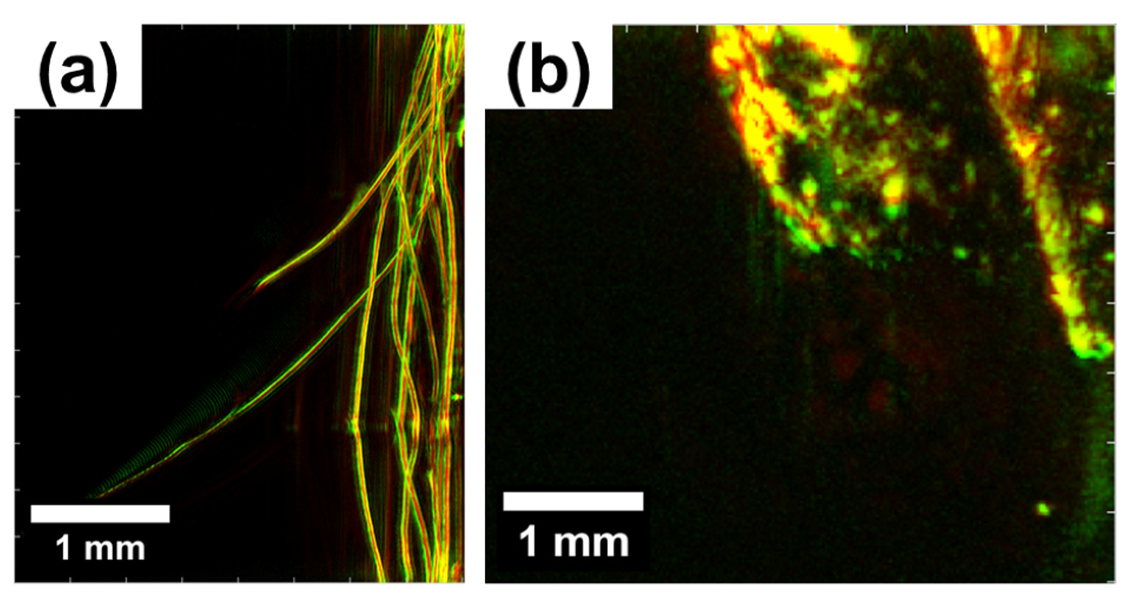 Polymers 15 04448 g010