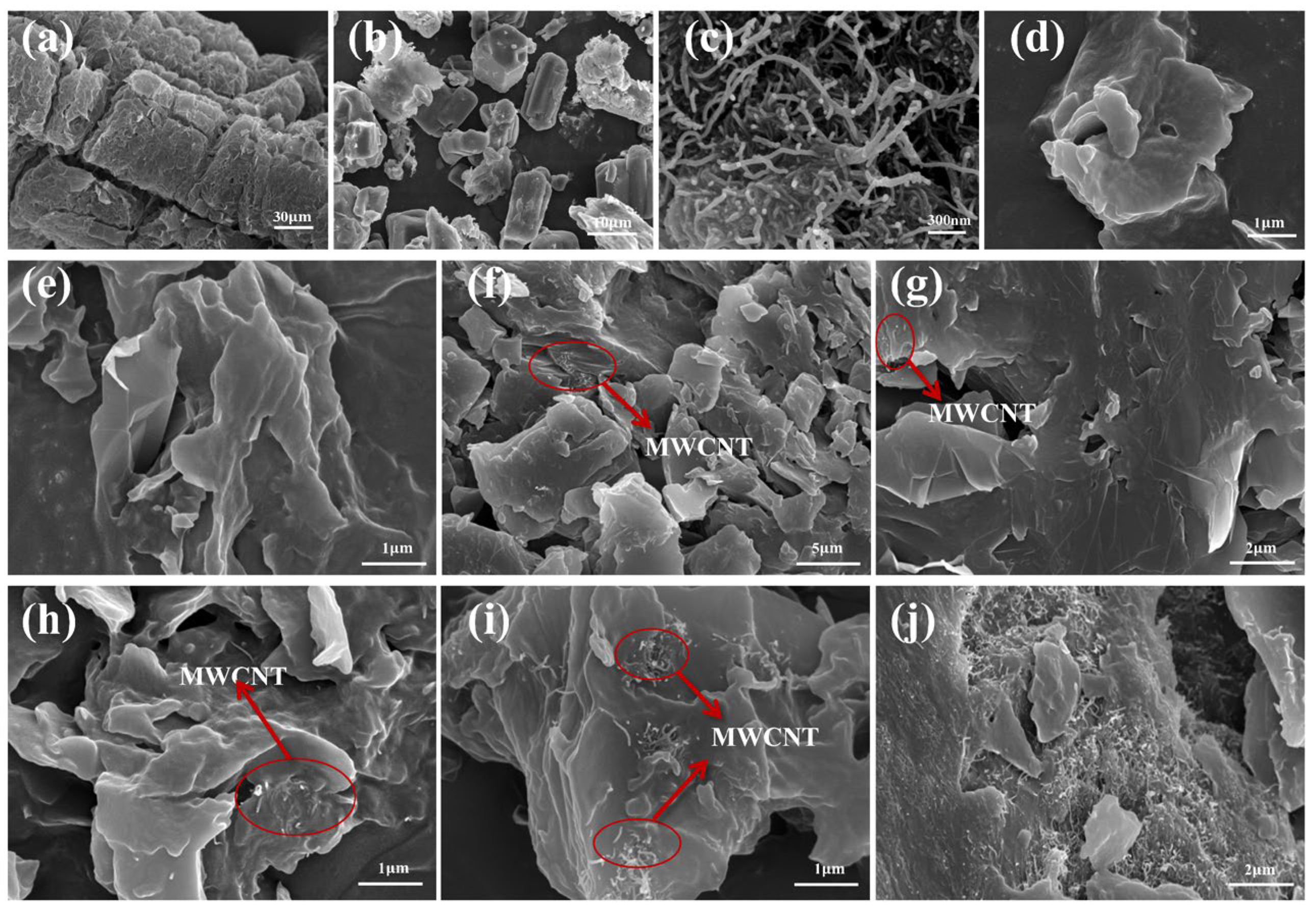 Polymers 15 04450 g005