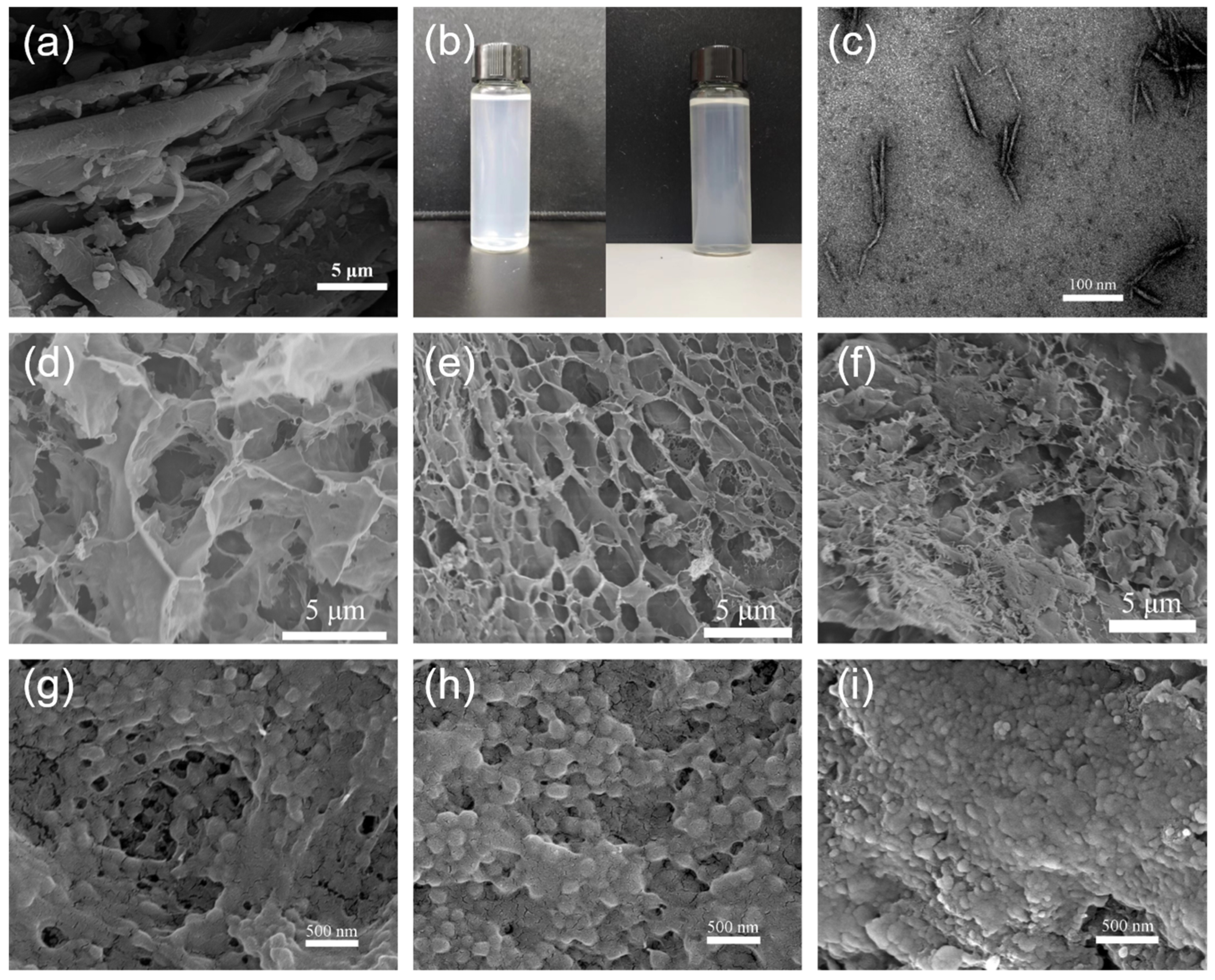 Polymers 15 04451 g002