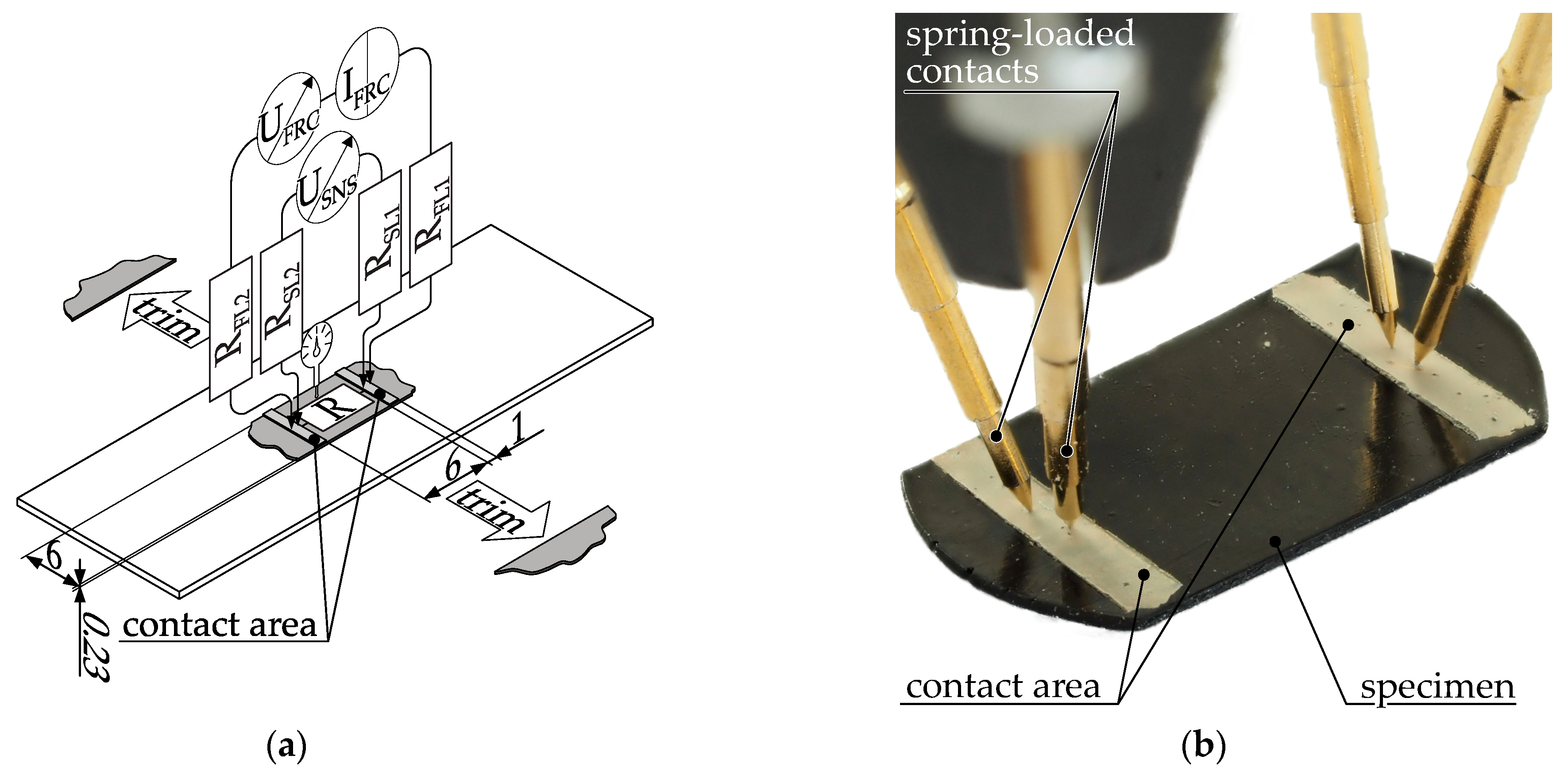 Polymers 15 04452 g005