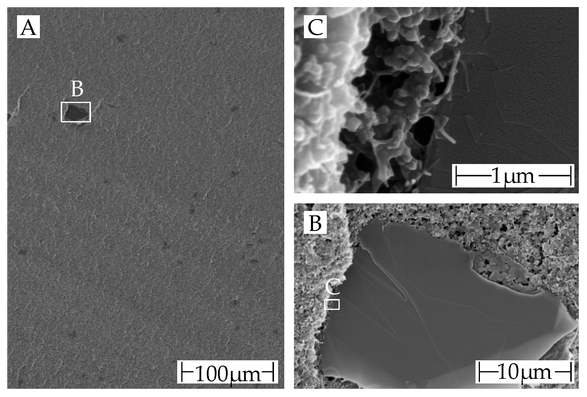 Polymers 15 04452 g012