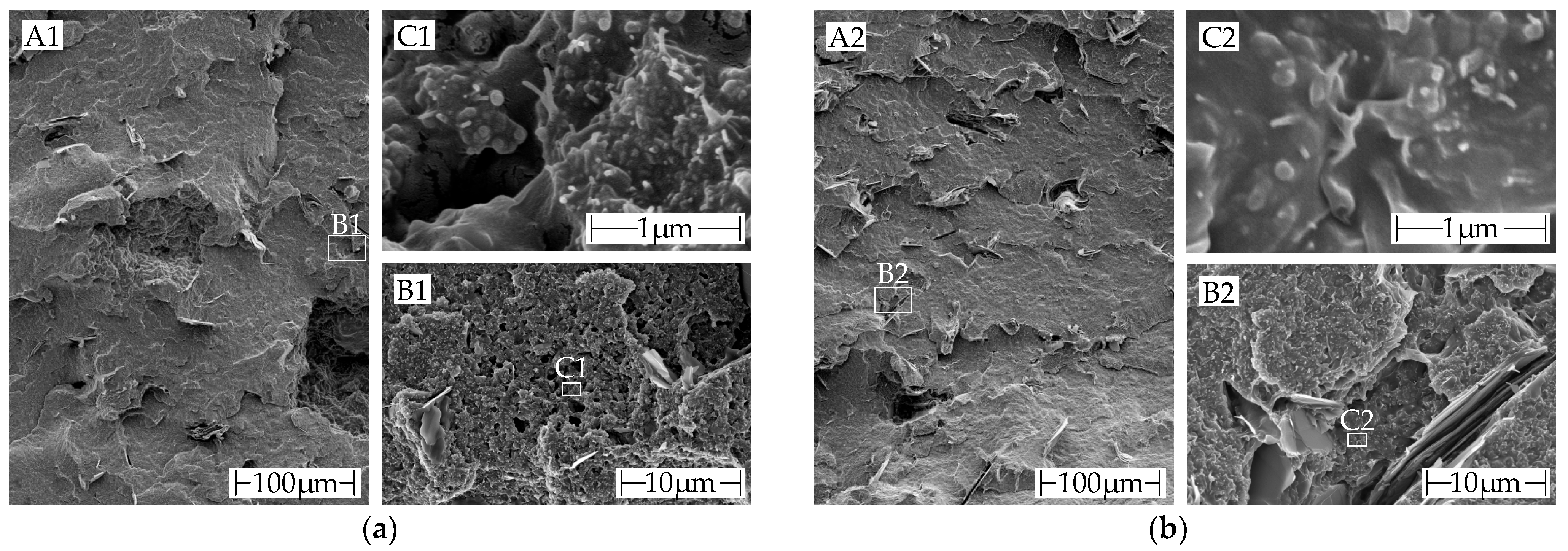 Polymers 15 04452 g014