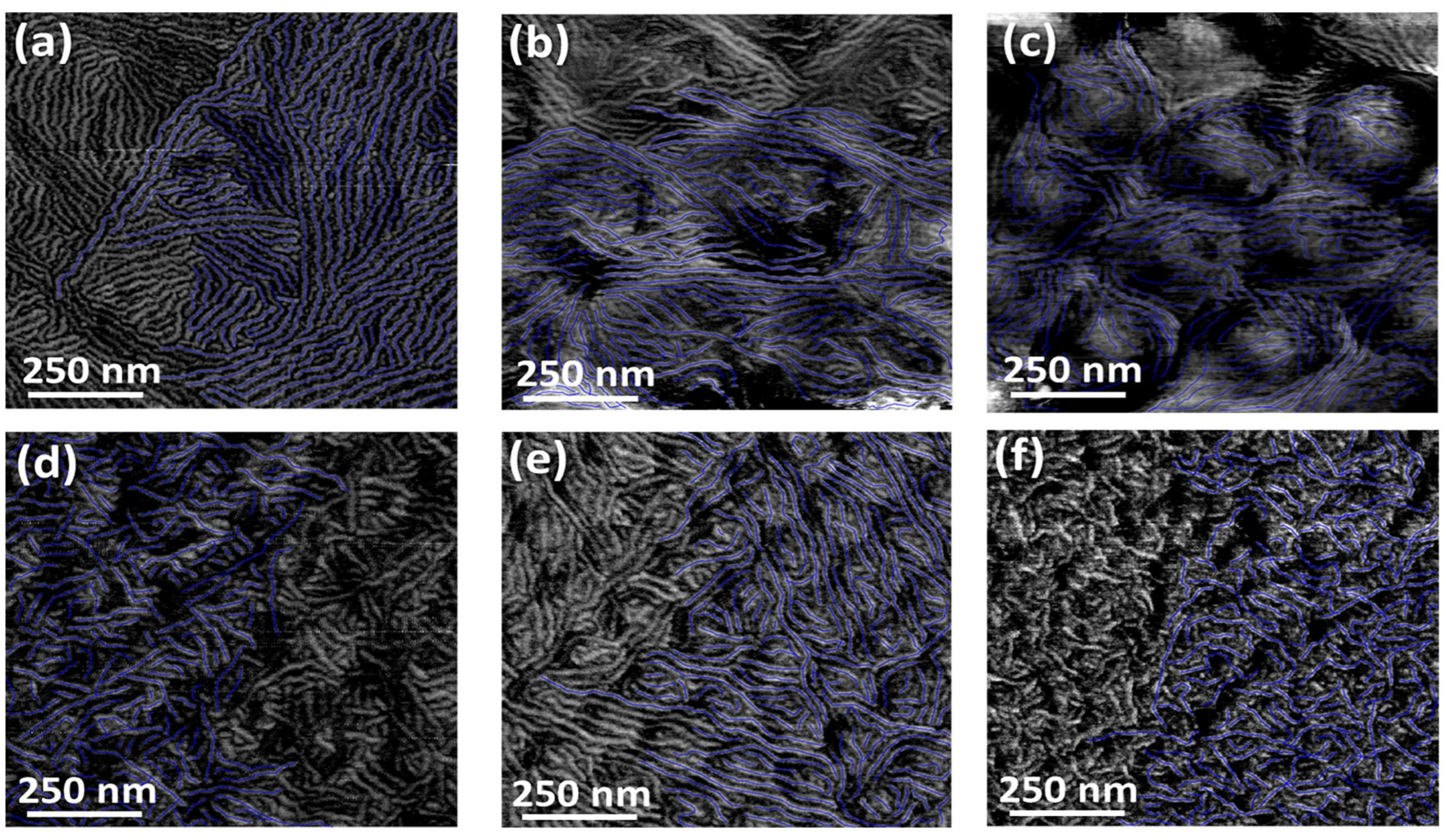 Polymers 15 04453 g003