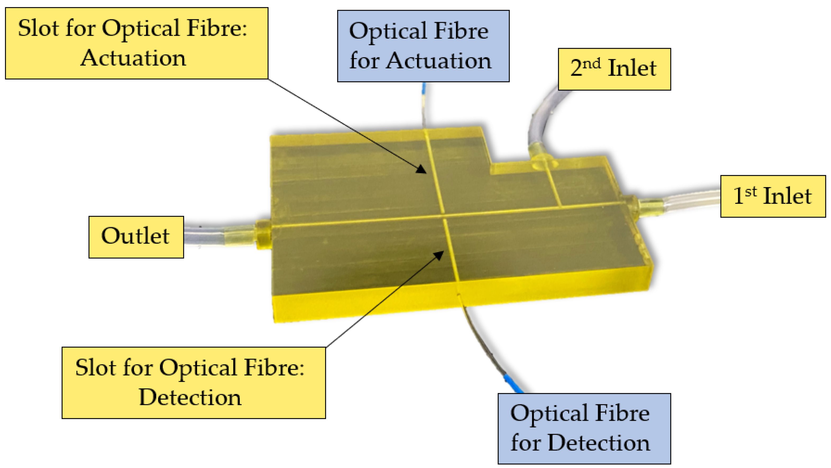 Polymers 15 04461 g001