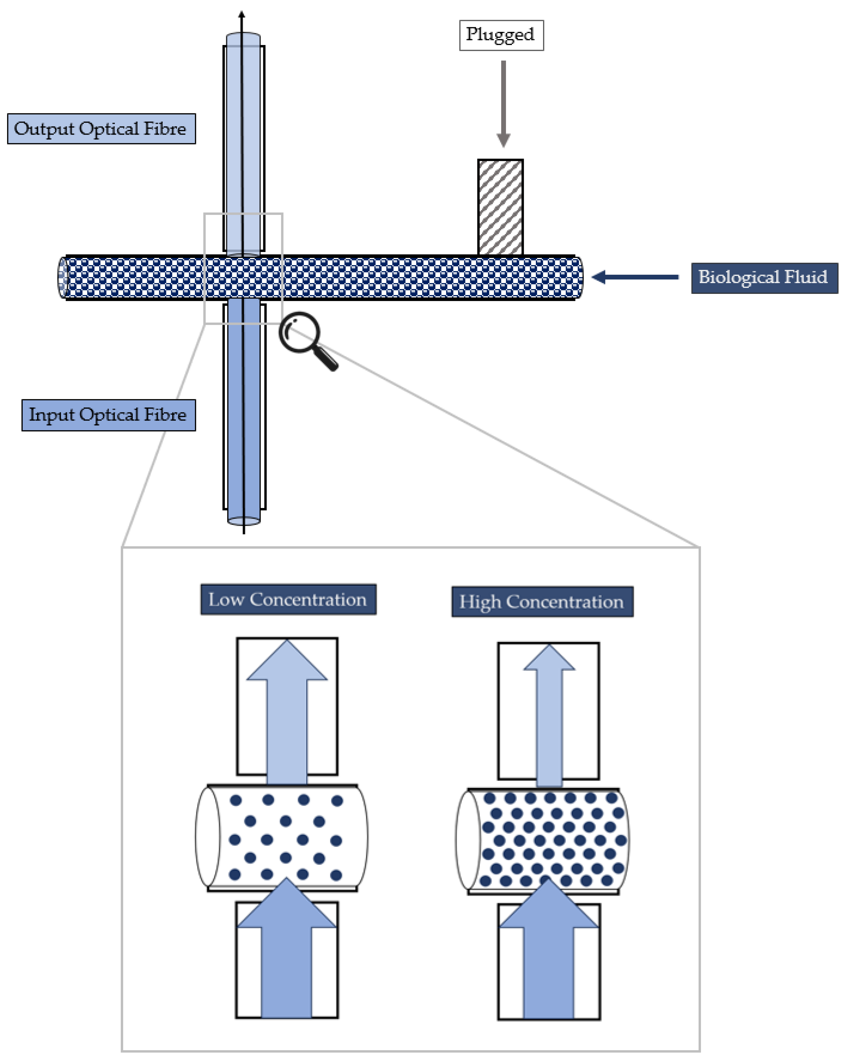 Polymers 15 04461 g003