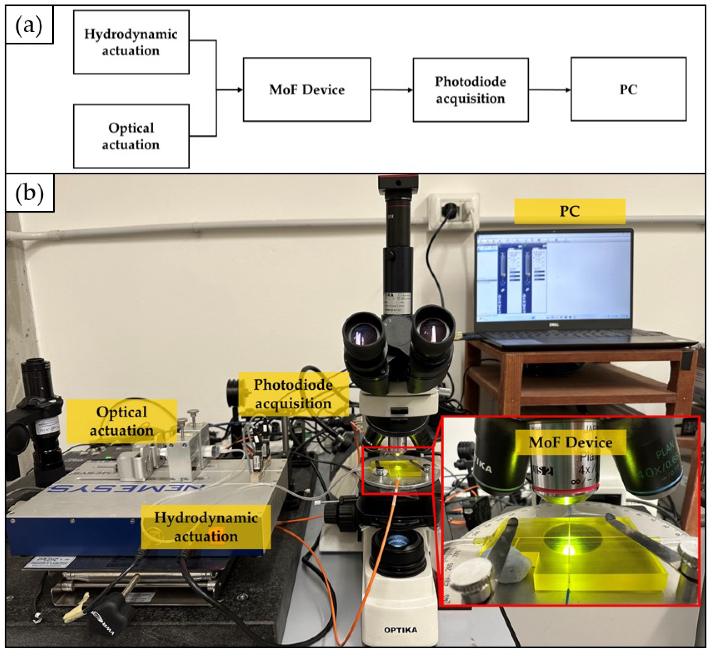Polymers 15 04461 g006